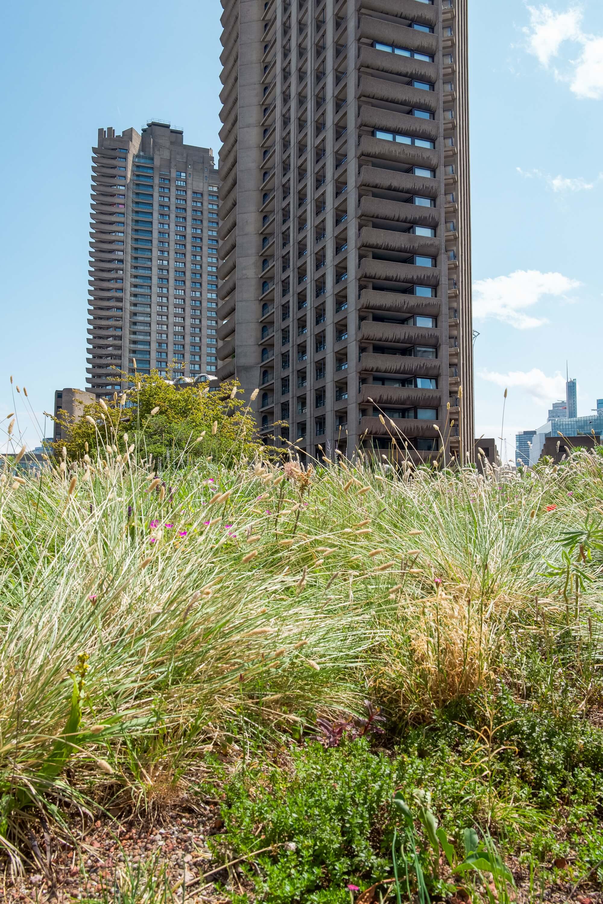 Barbican