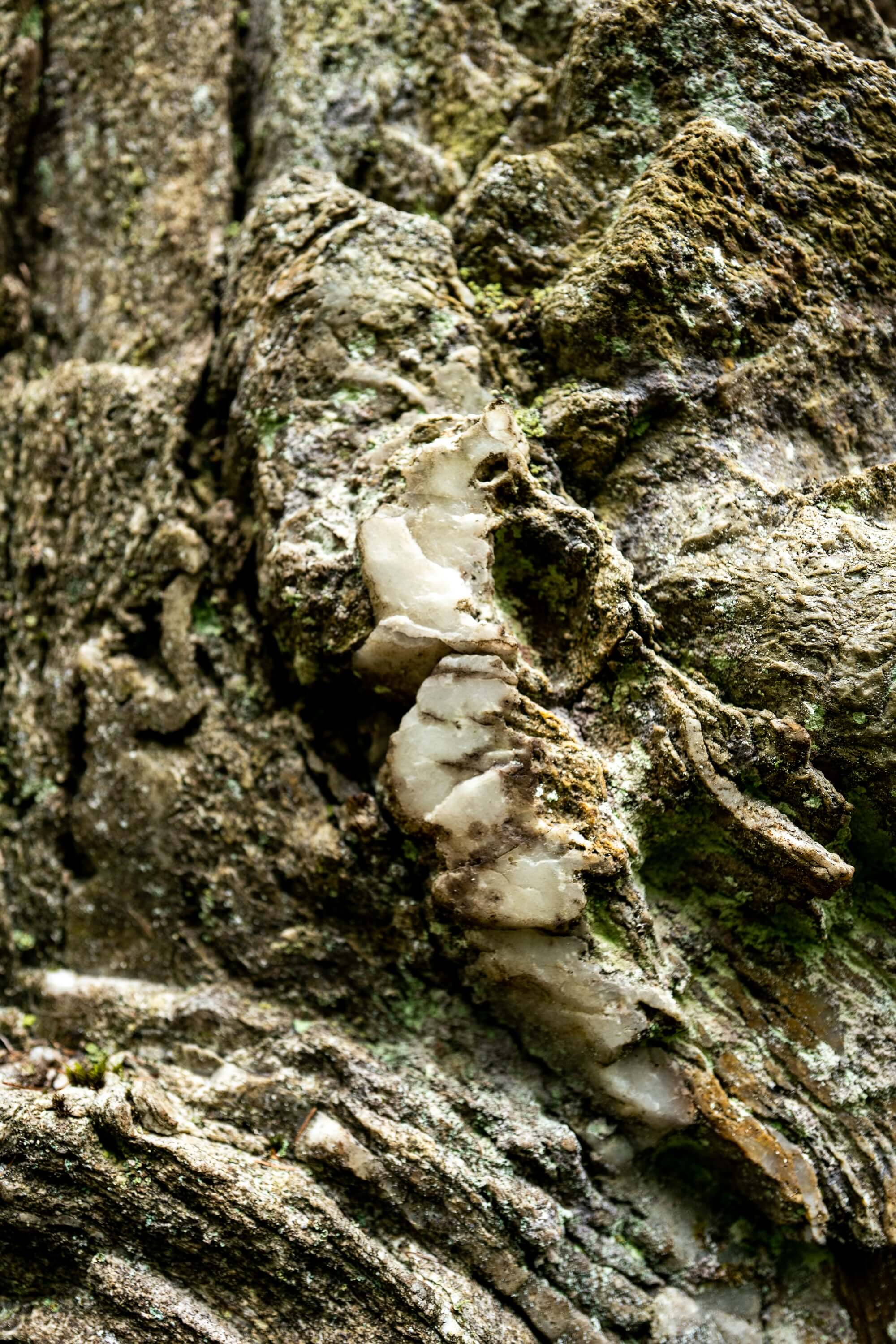 Quartz in the rock formations