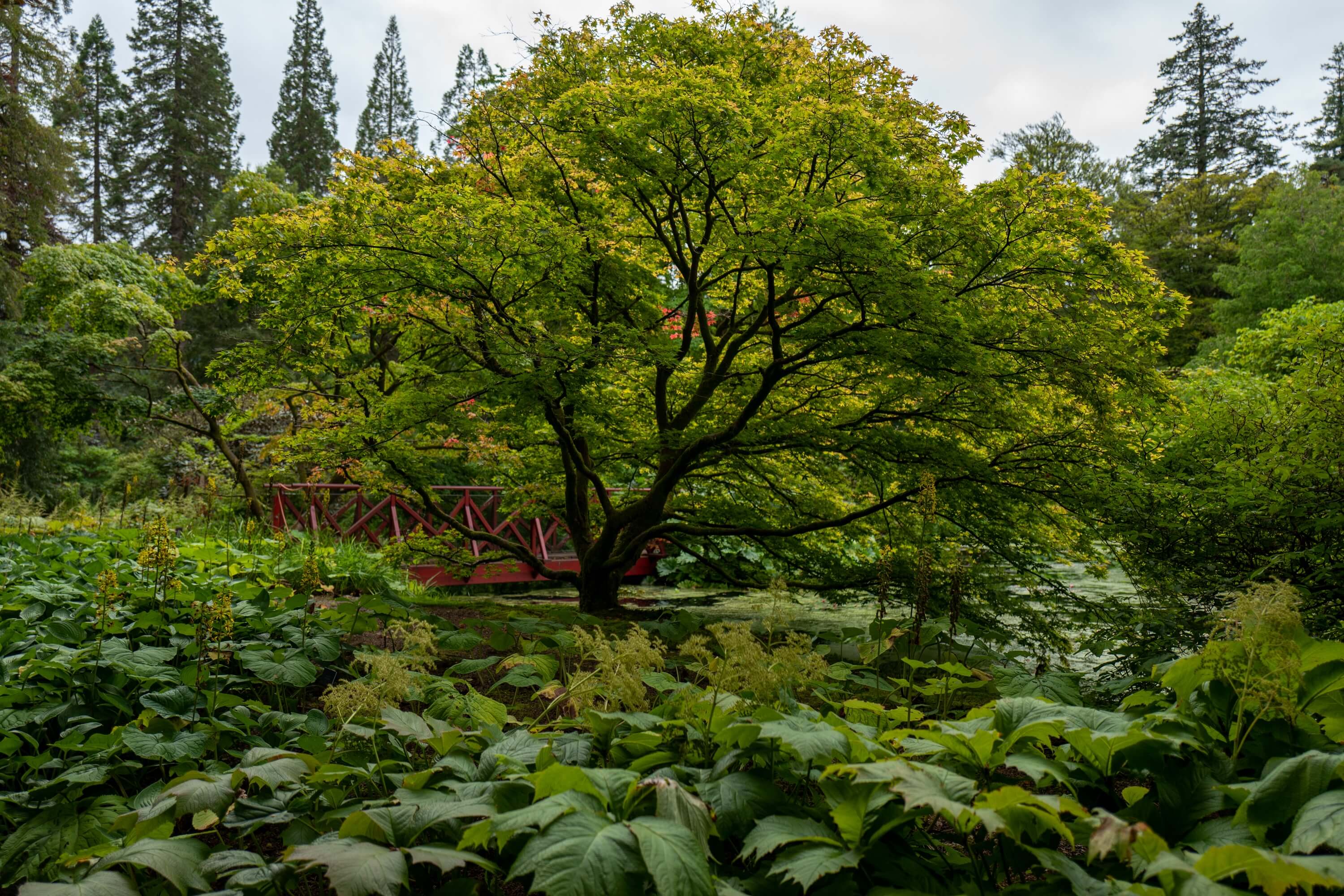 Quirky highlights can be found throughout the park