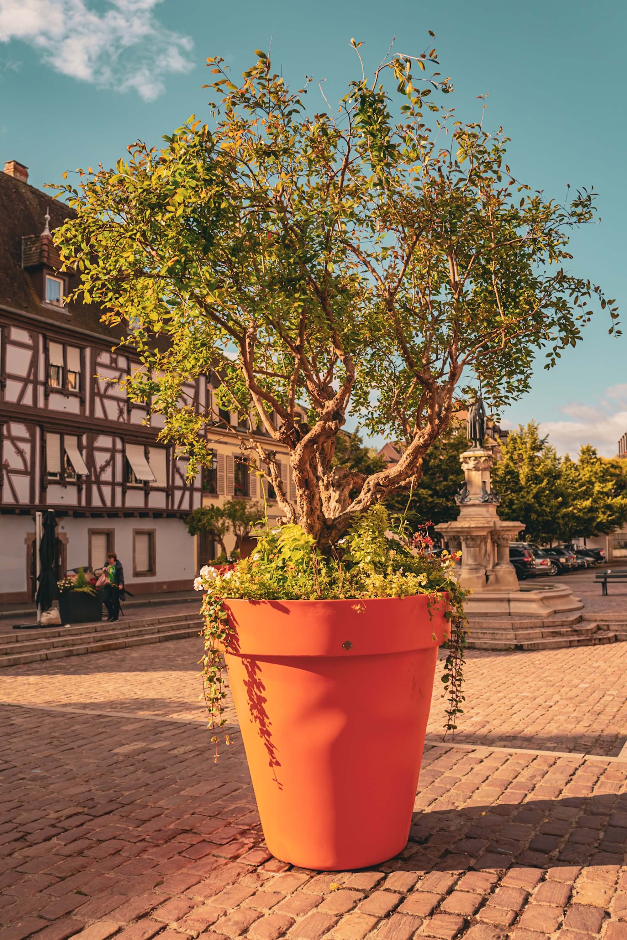 Giant flowerpot