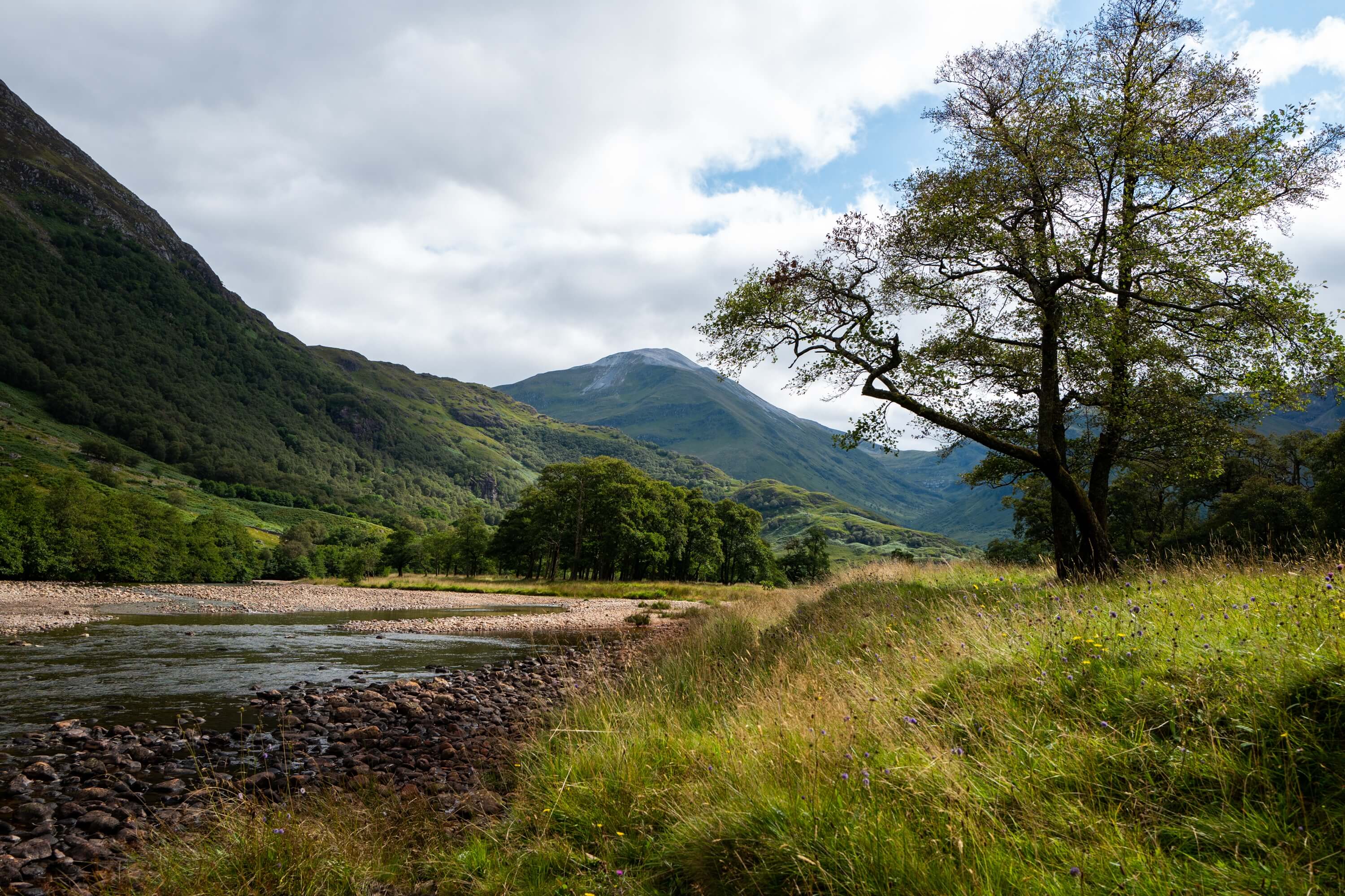 River in the Glen