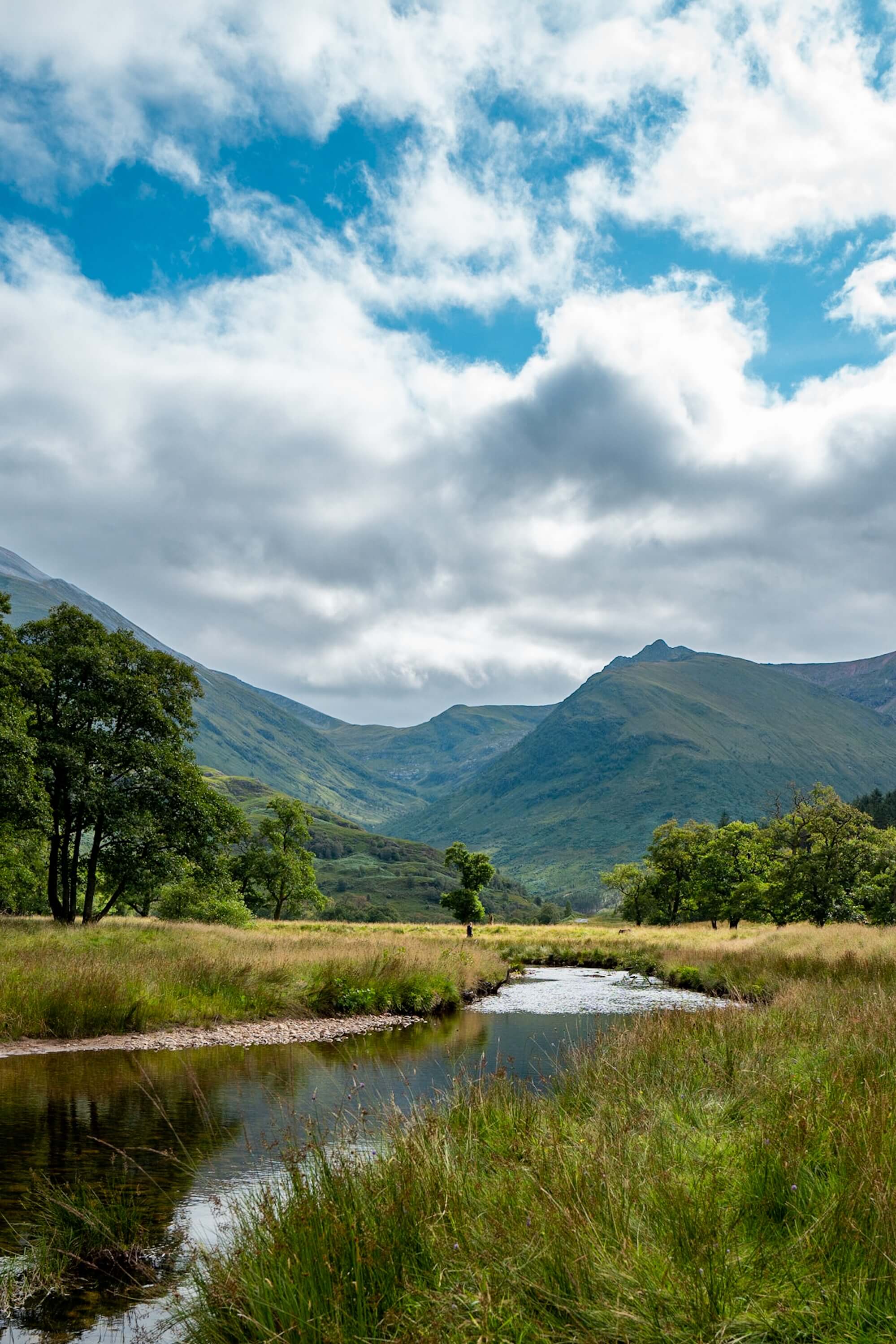 River in the Glen