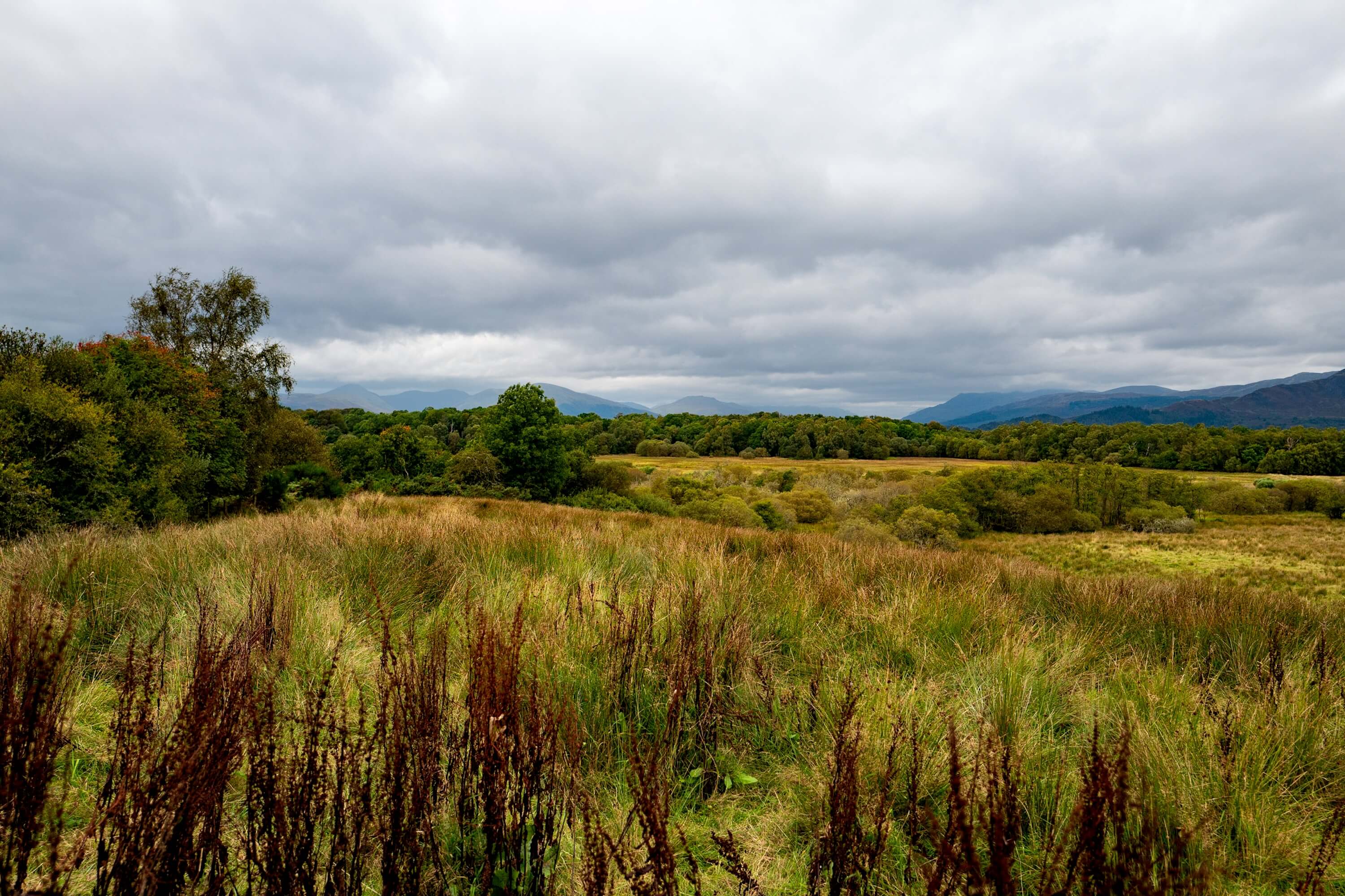 RSPB