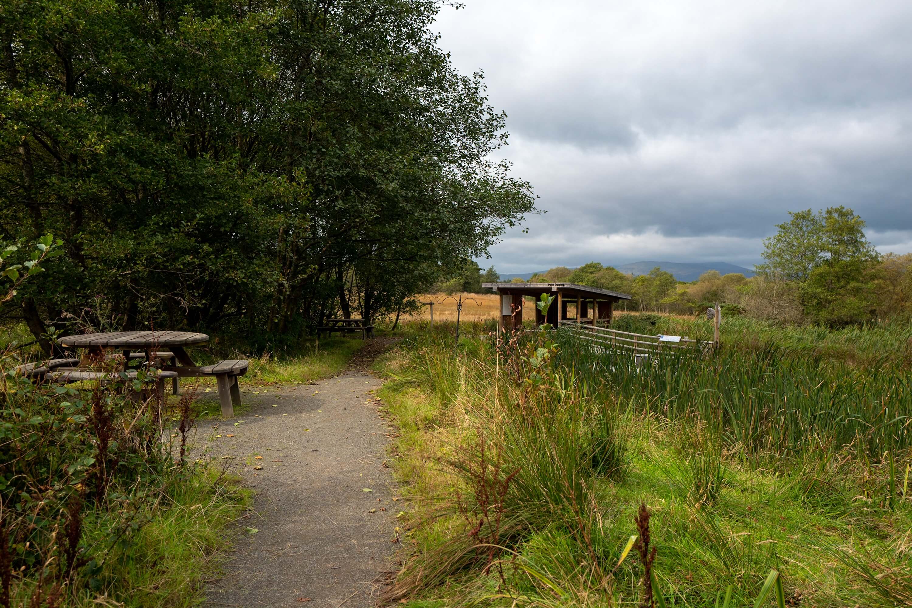 Bird watching at the RSPB centre