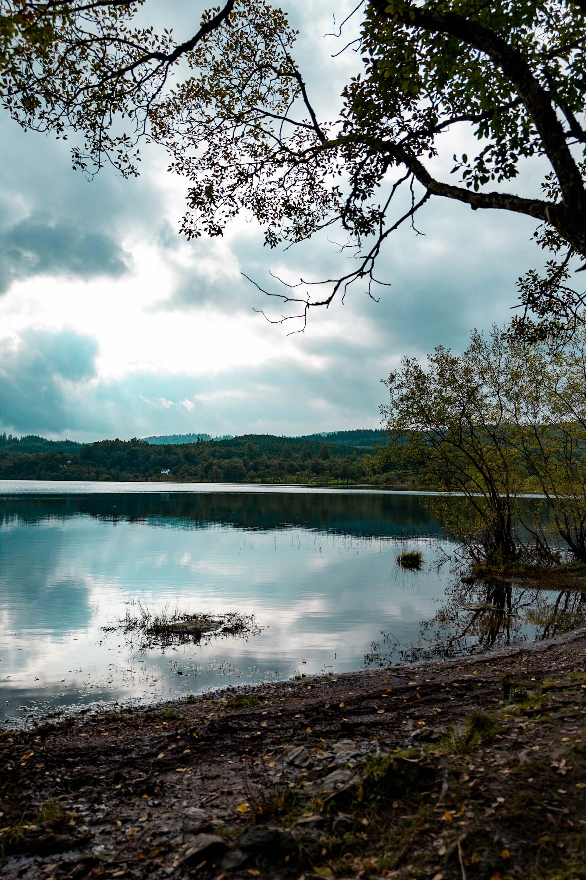 The shore of Loch Achray