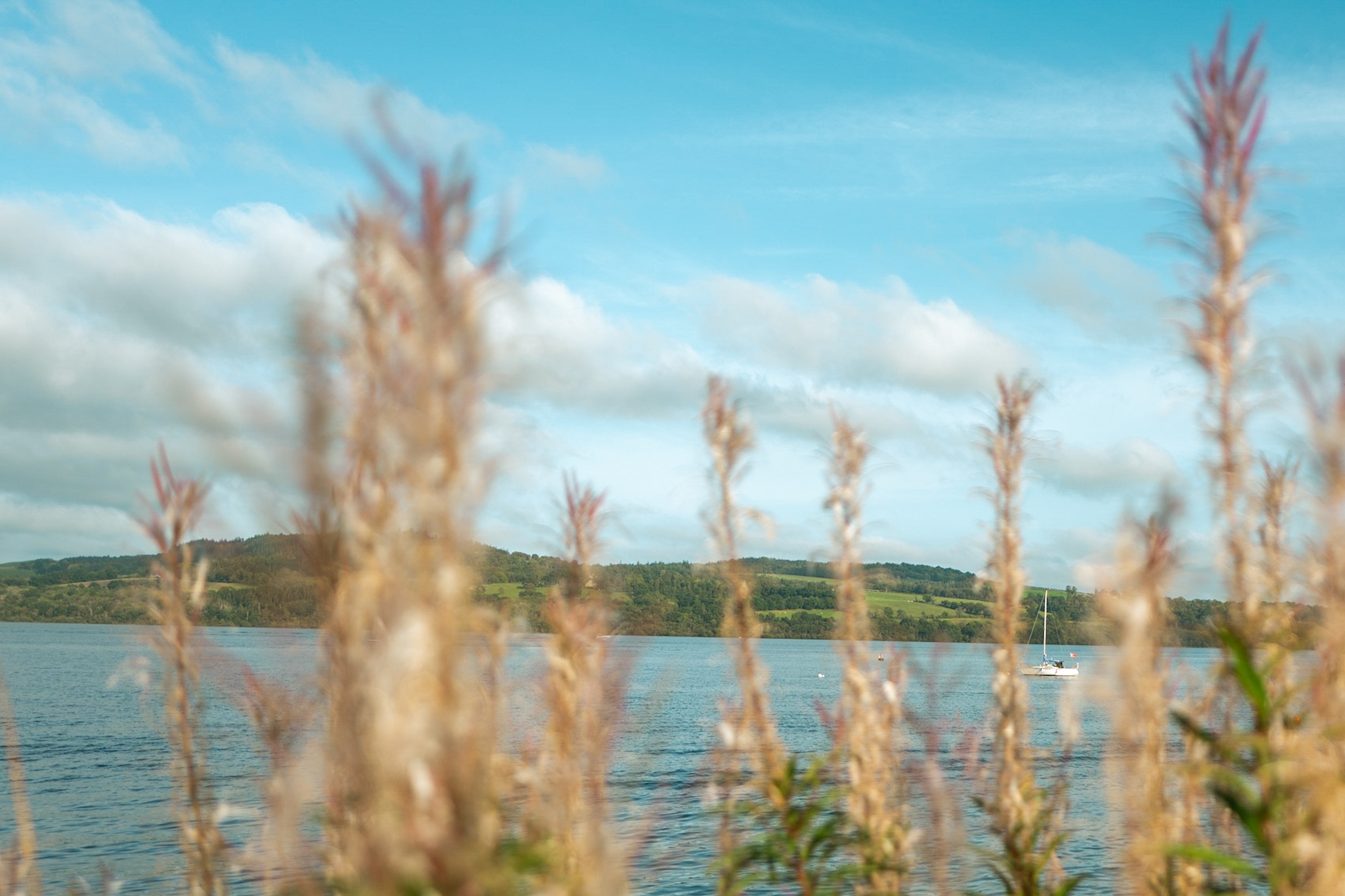Loch Lomond
