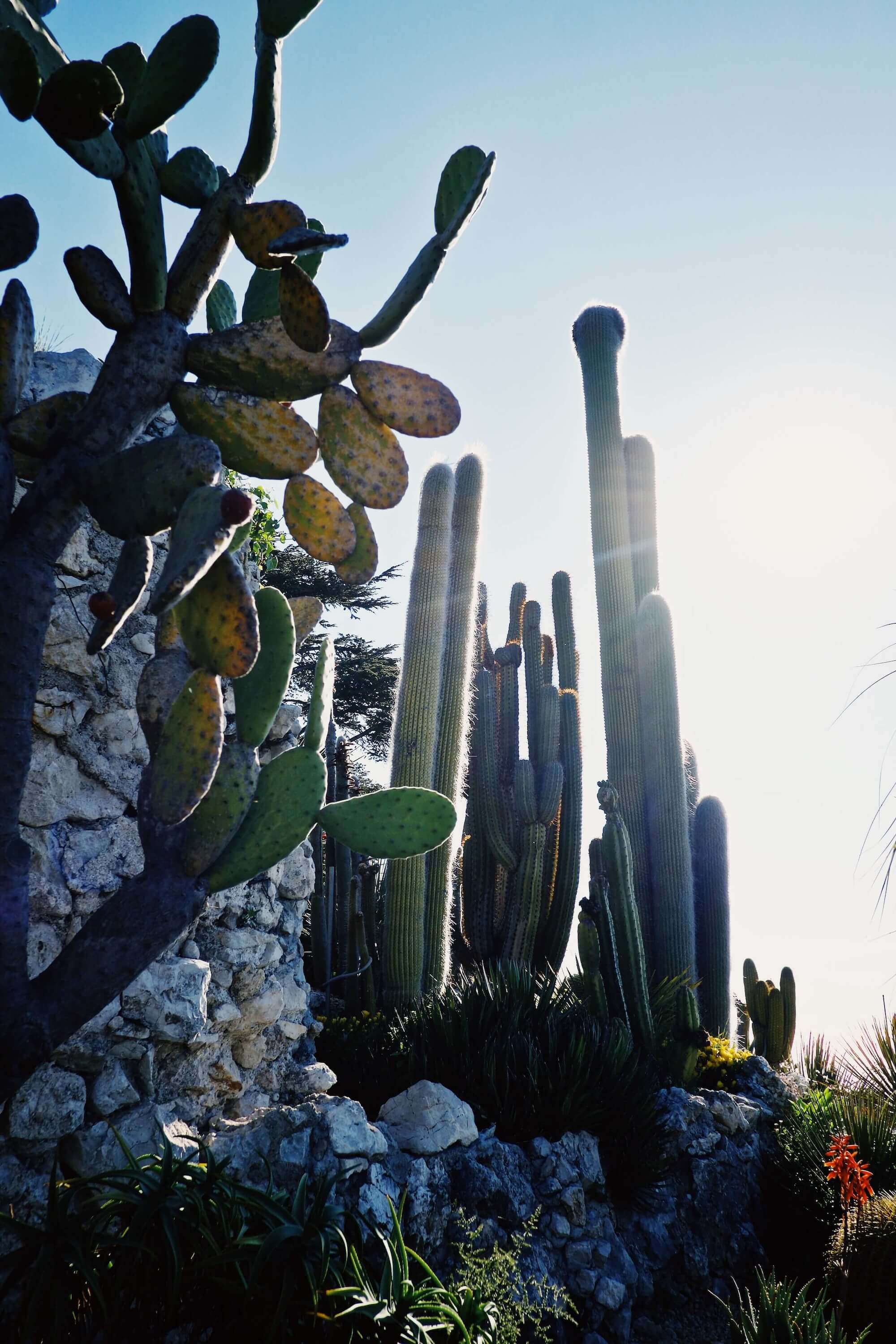 Èze Exotic Garden