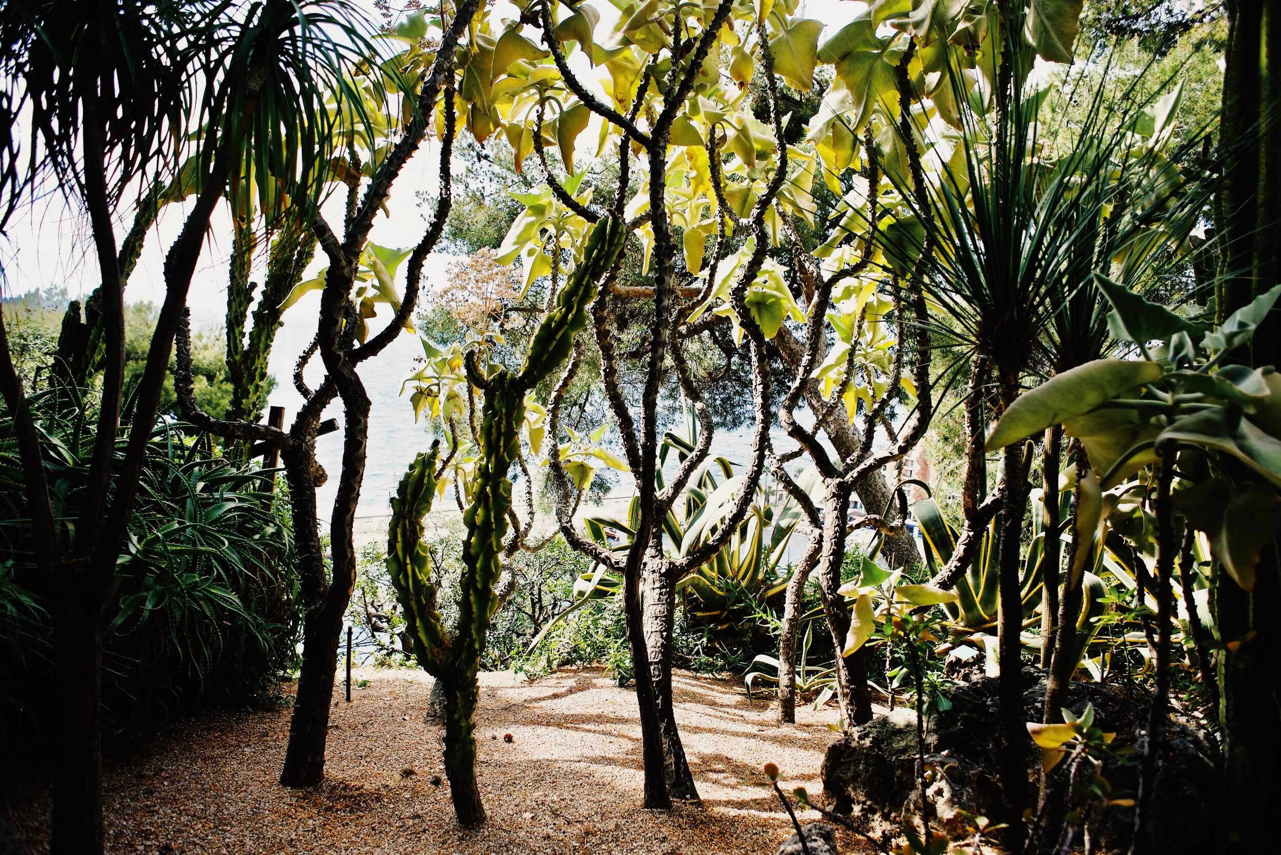 Le Rocher, Monaco