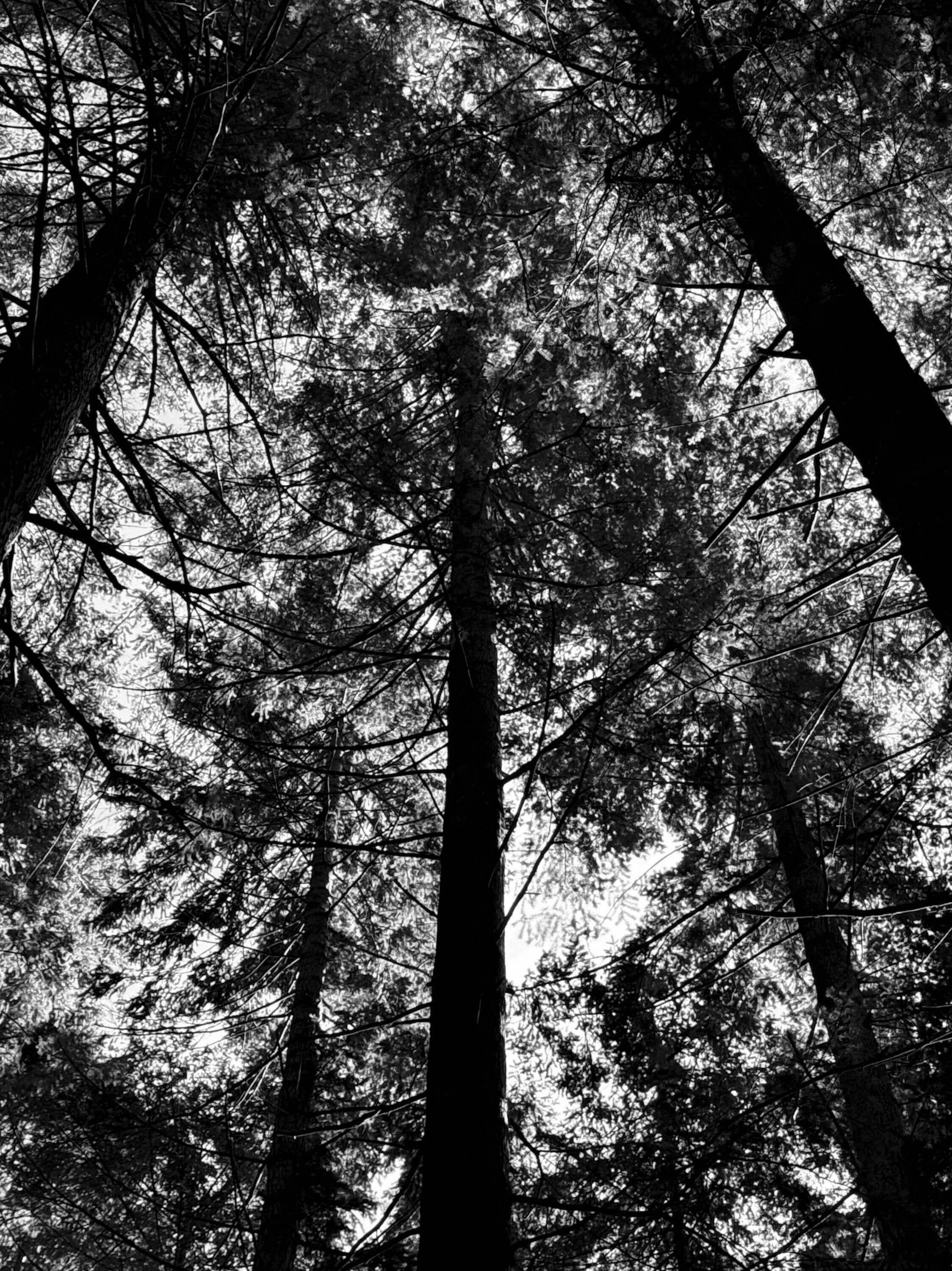 Leica look: BW High Contrast