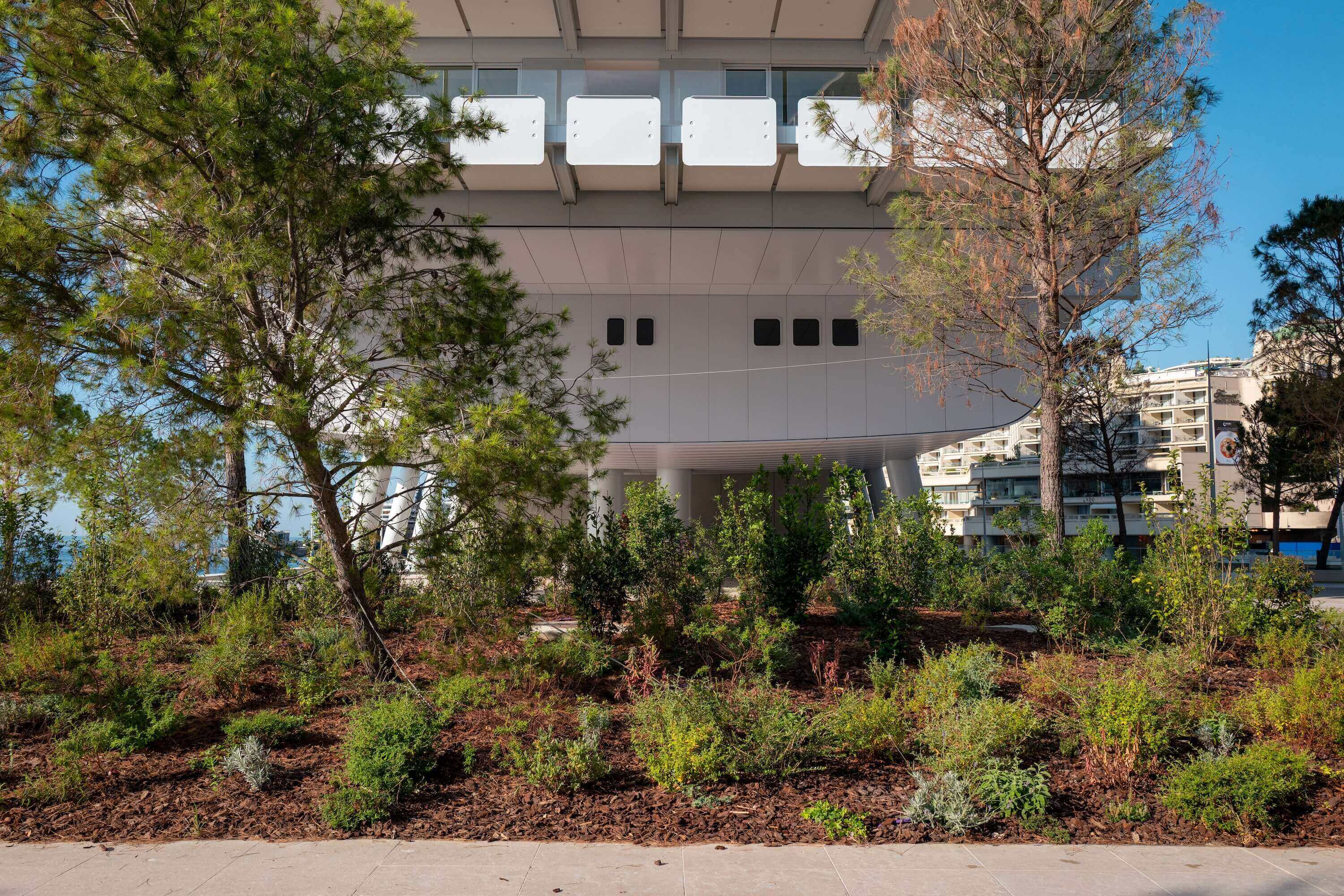 Green space and planting