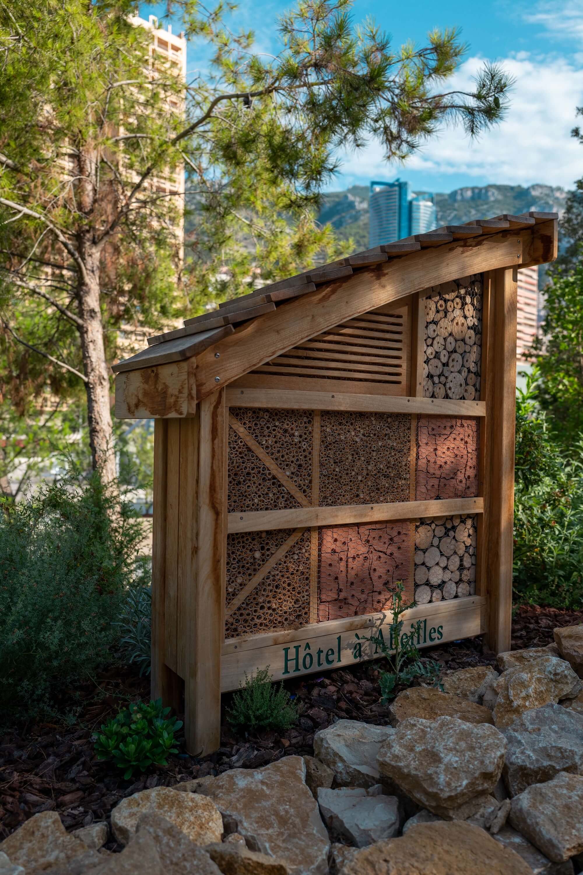 Insect home on Mareterra