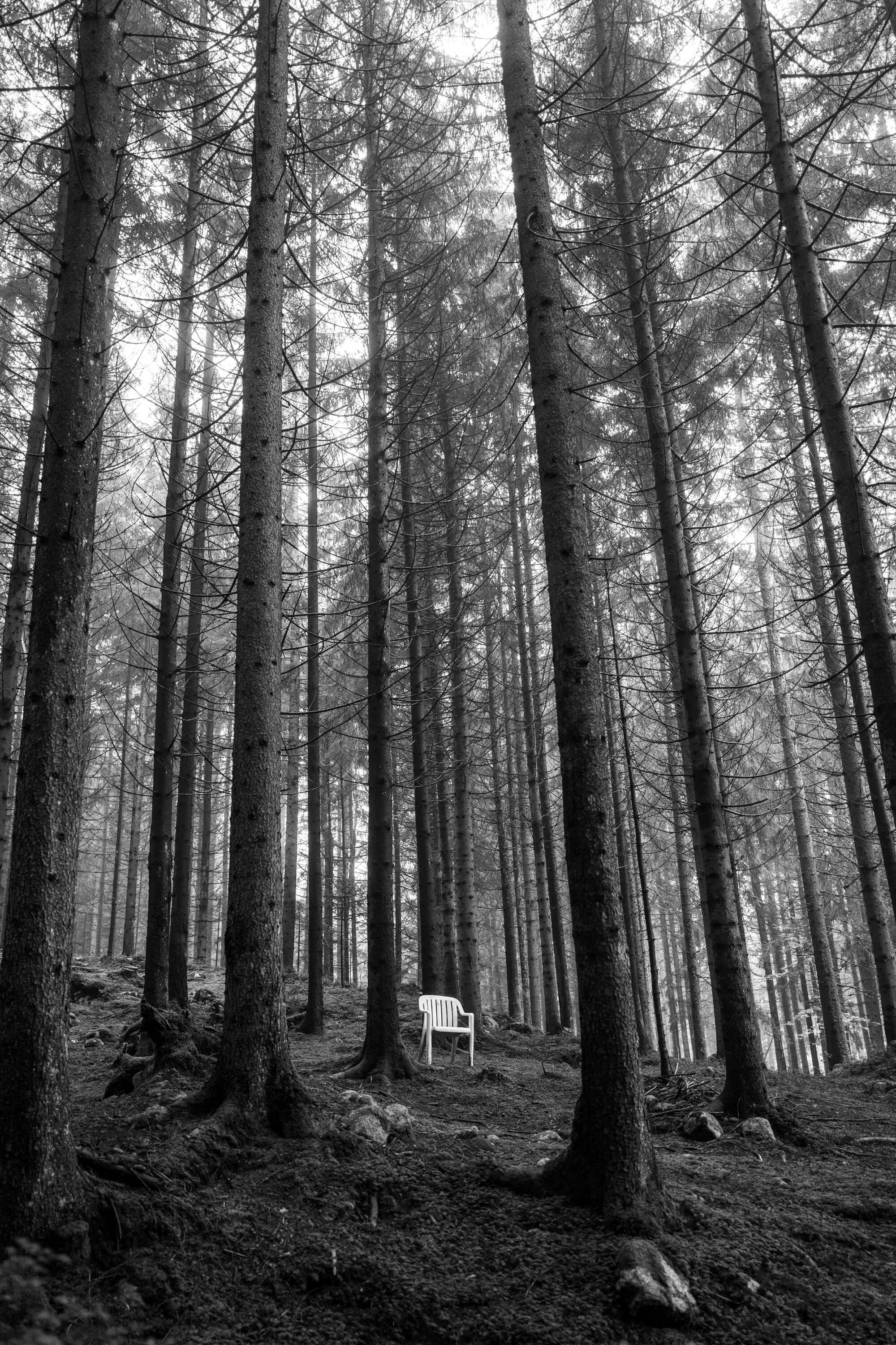 In the middle of a forested area a plastic chair sits abandoned.