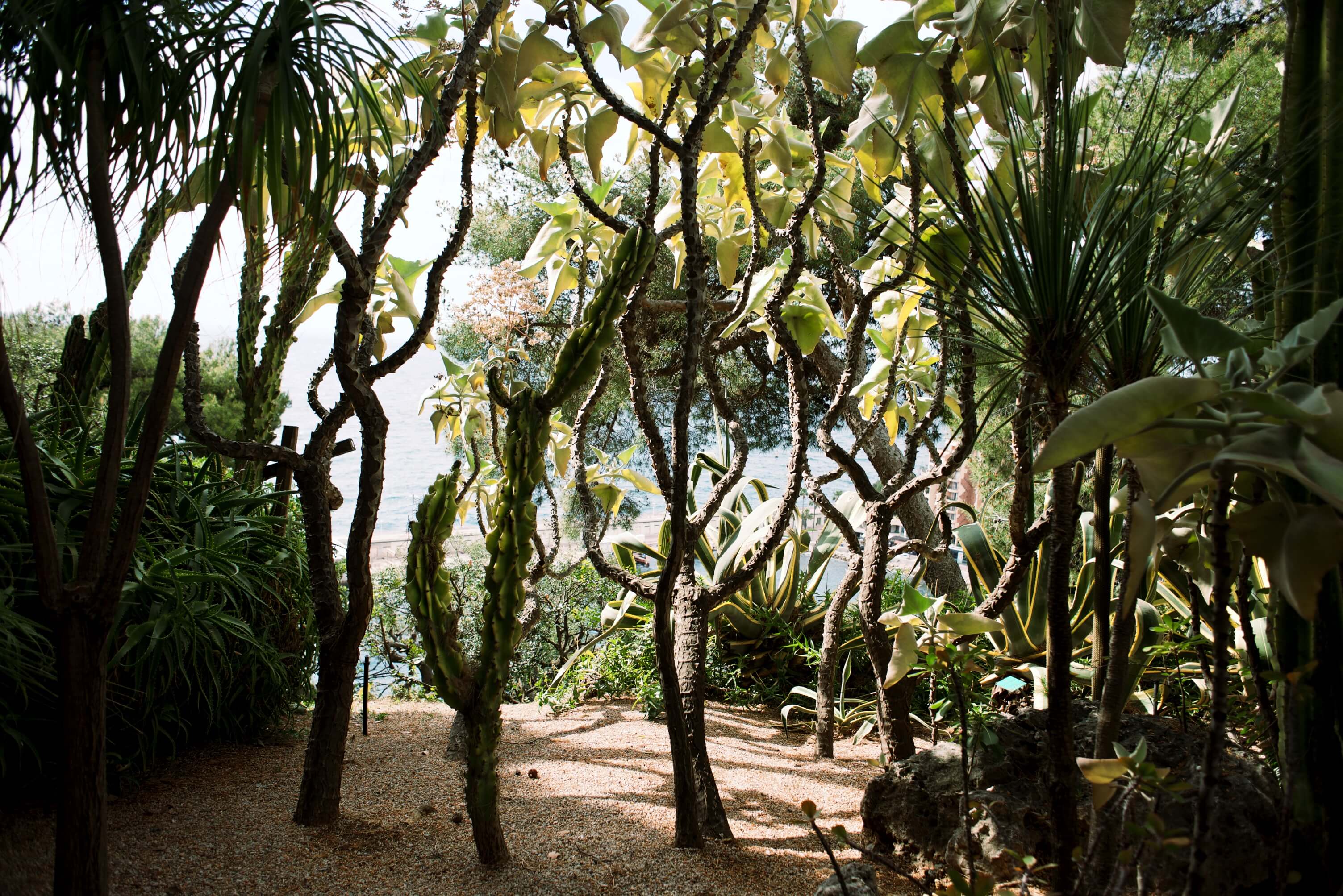 Monaco