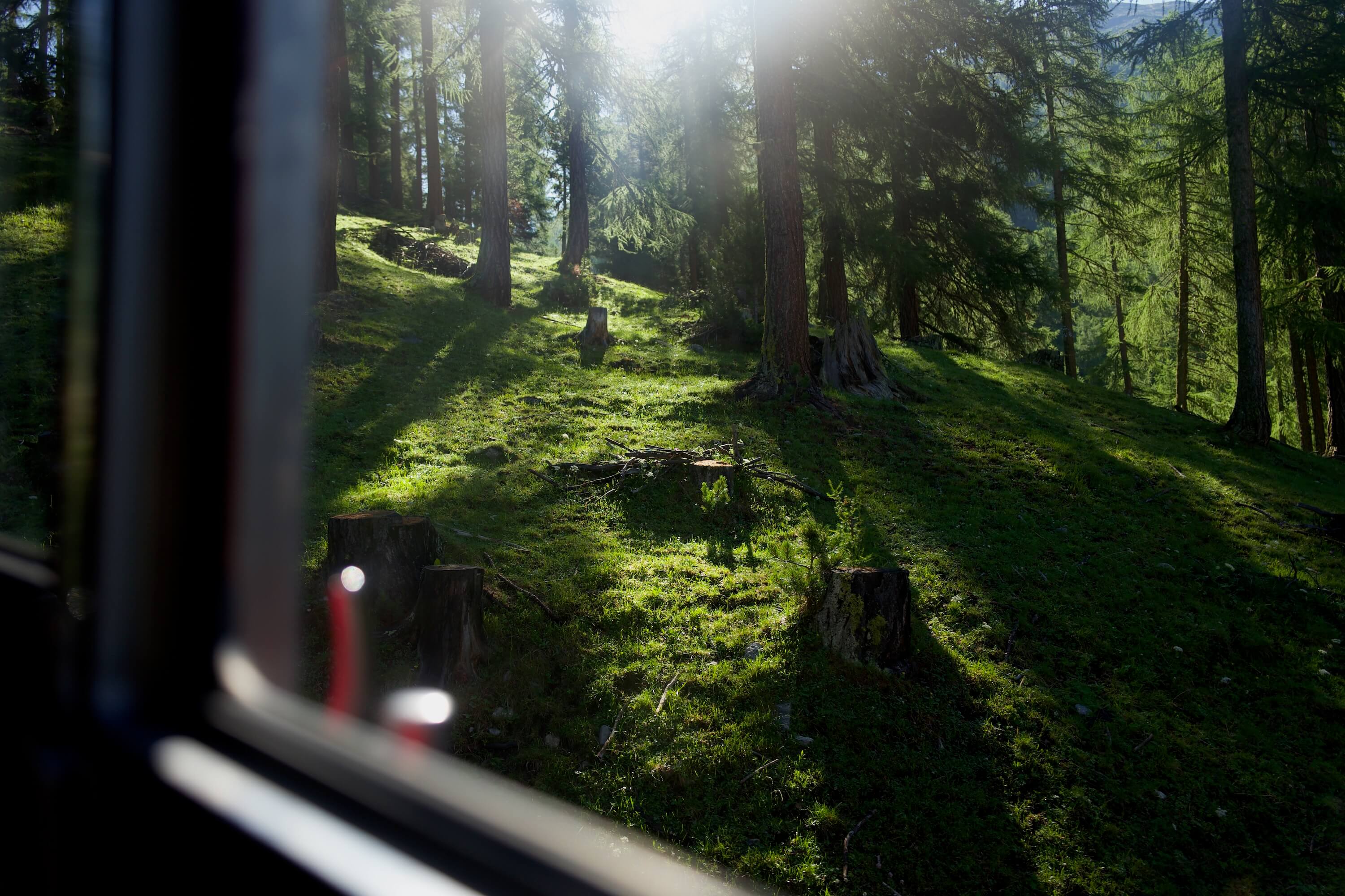 Looking out of the train
