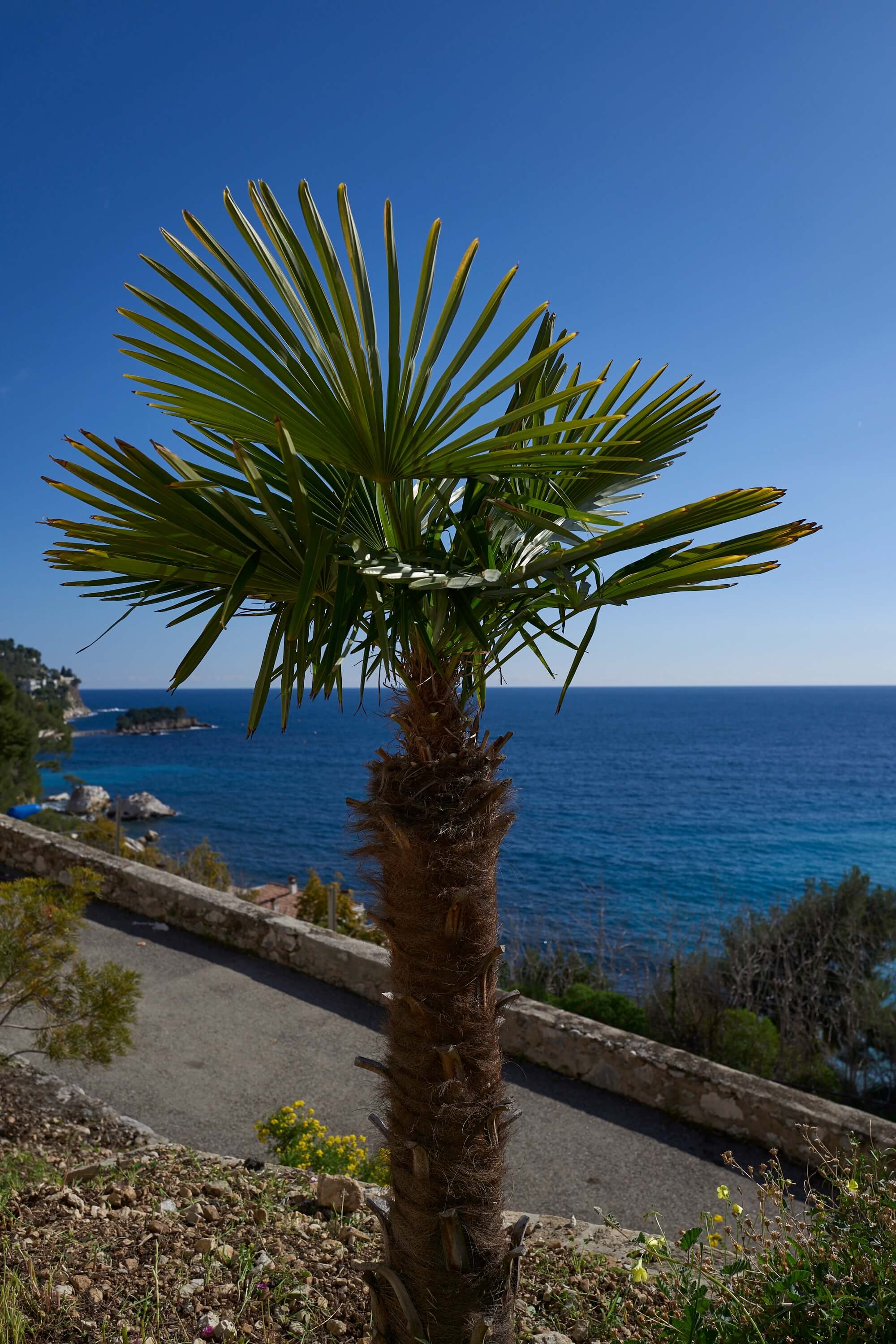 Starting at sea level, the trail starts steeply on a paved surface as it passes villas and run down houses in equal measure along the way.