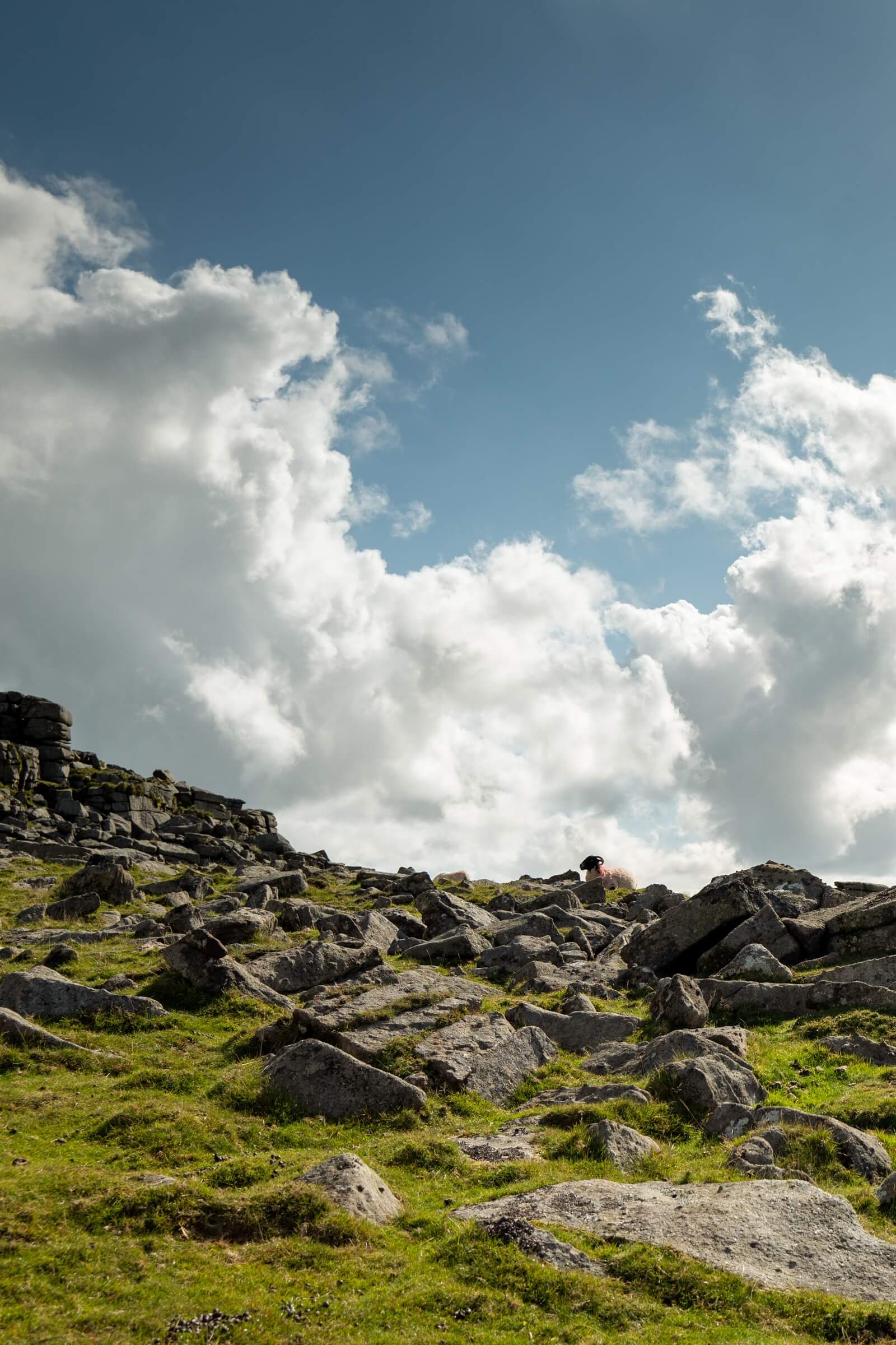 Pork Hill Dartmoor