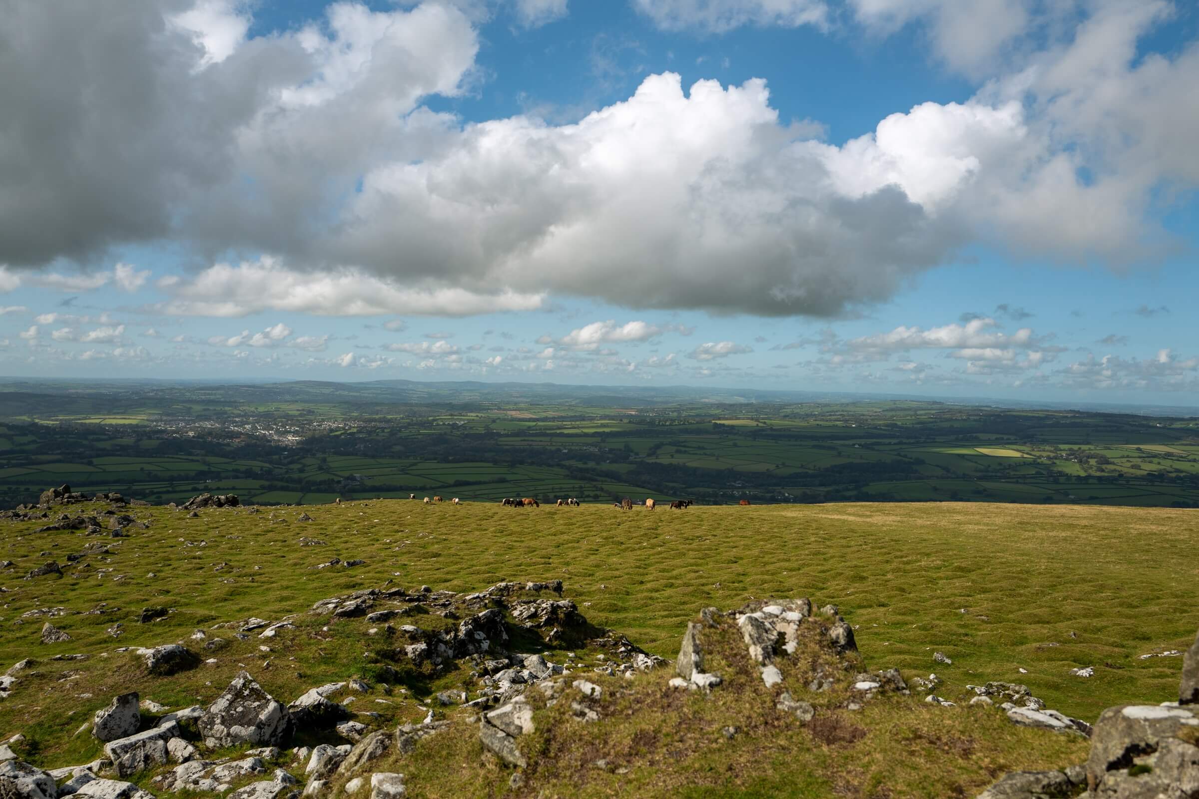 Pork Hill Dartmoor