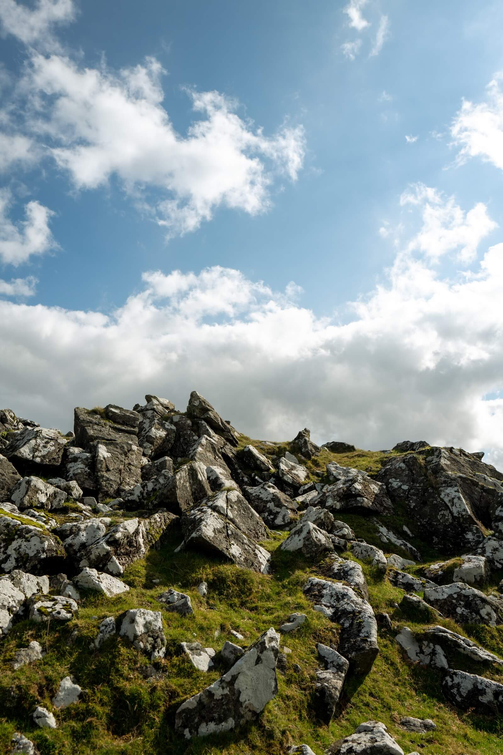 Pork Hill Dartmoor