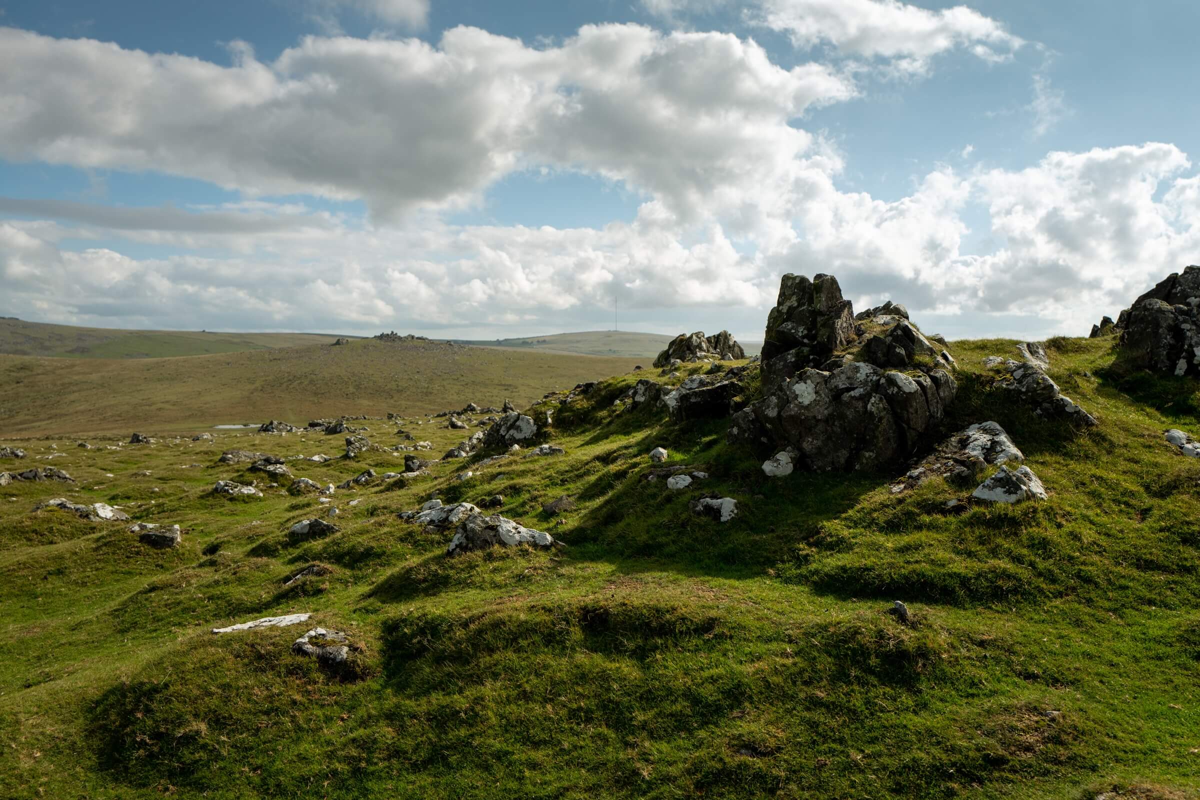 Pork Hill Dartmoor