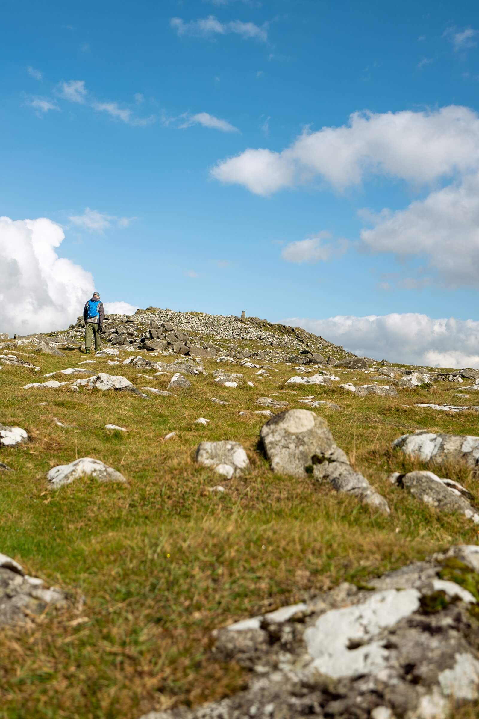 Pork Hill Dartmoor