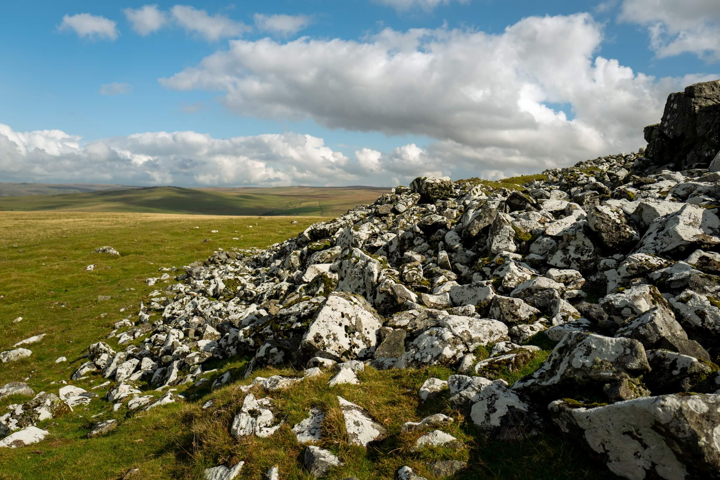 Pork Hill Dartmoor