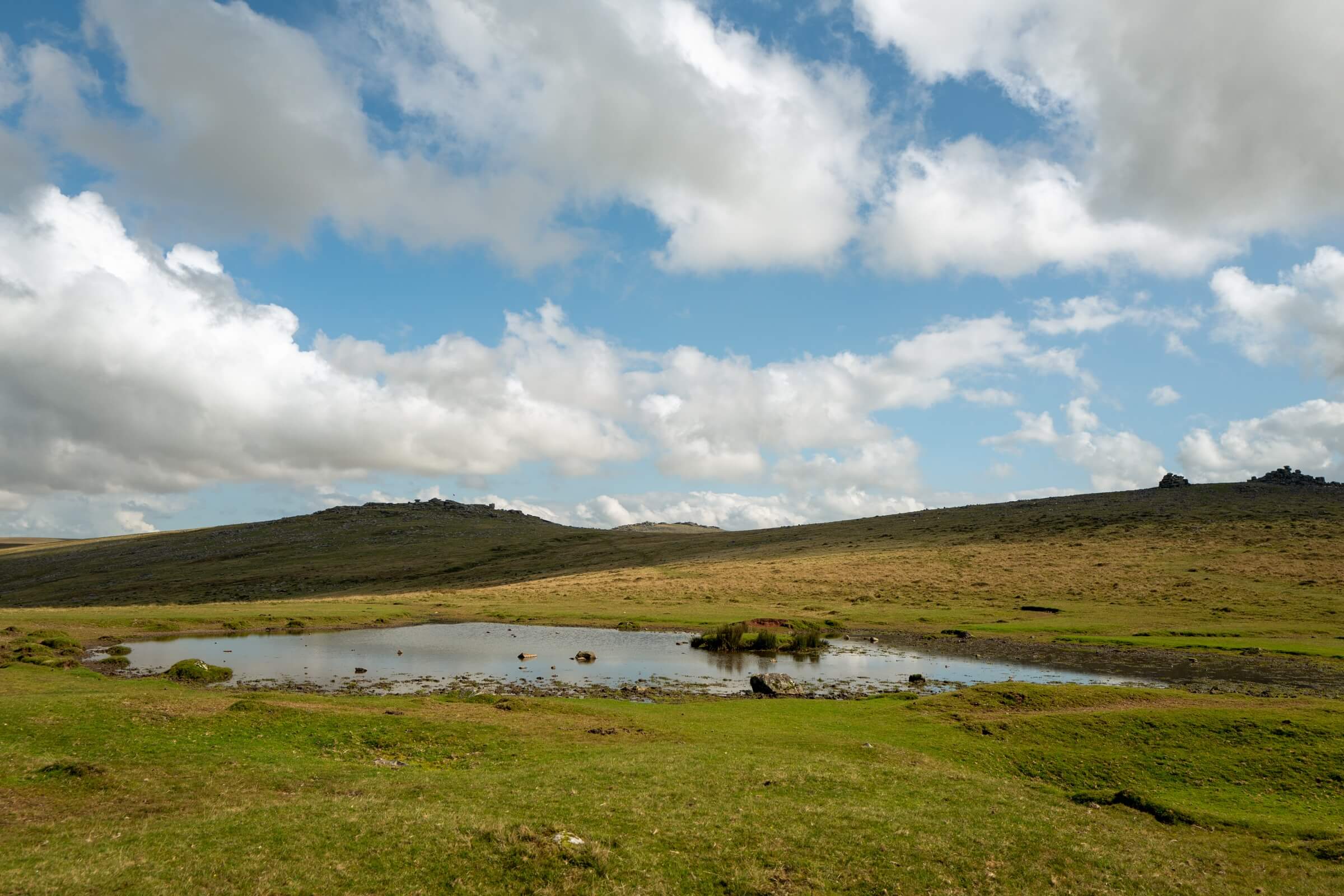 Pork Hill Dartmoor
