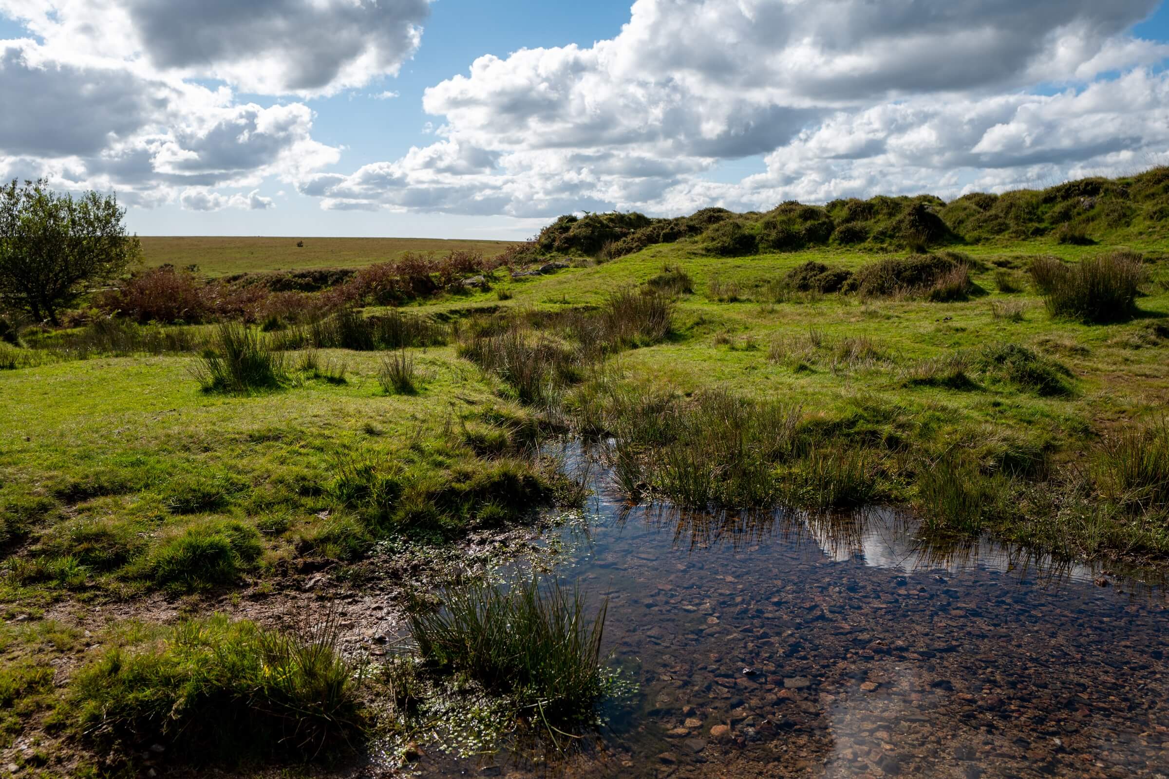 Pork Hill Dartmoor