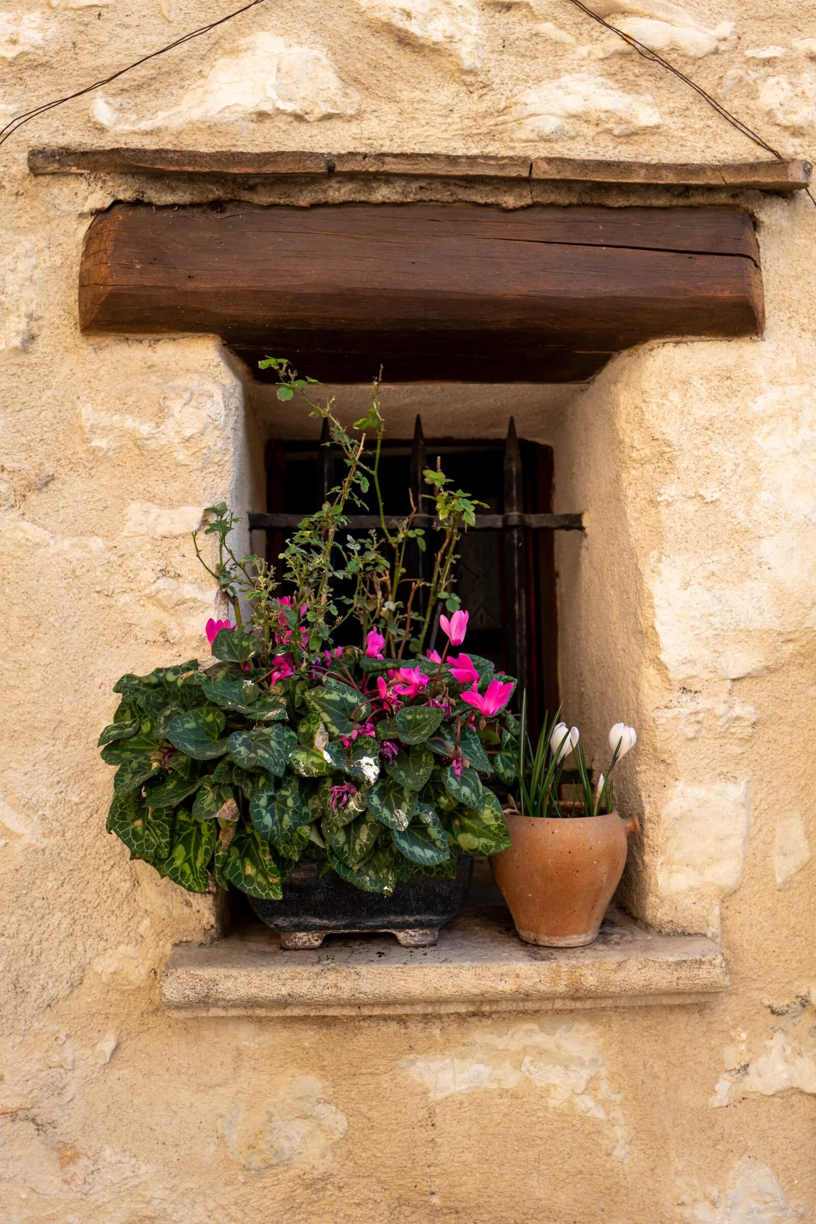 Saint Paul de Vence