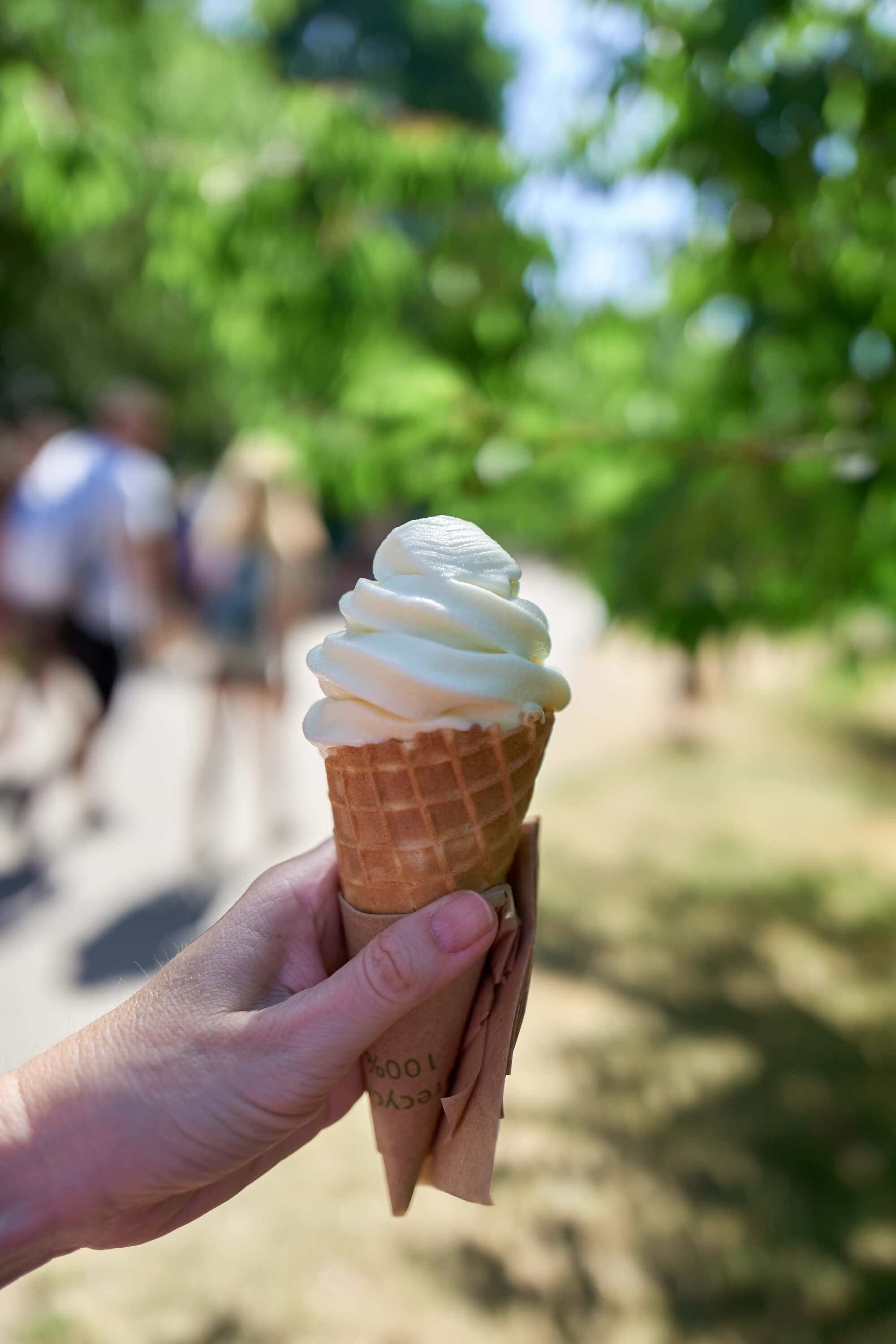 Ice Cream in the park