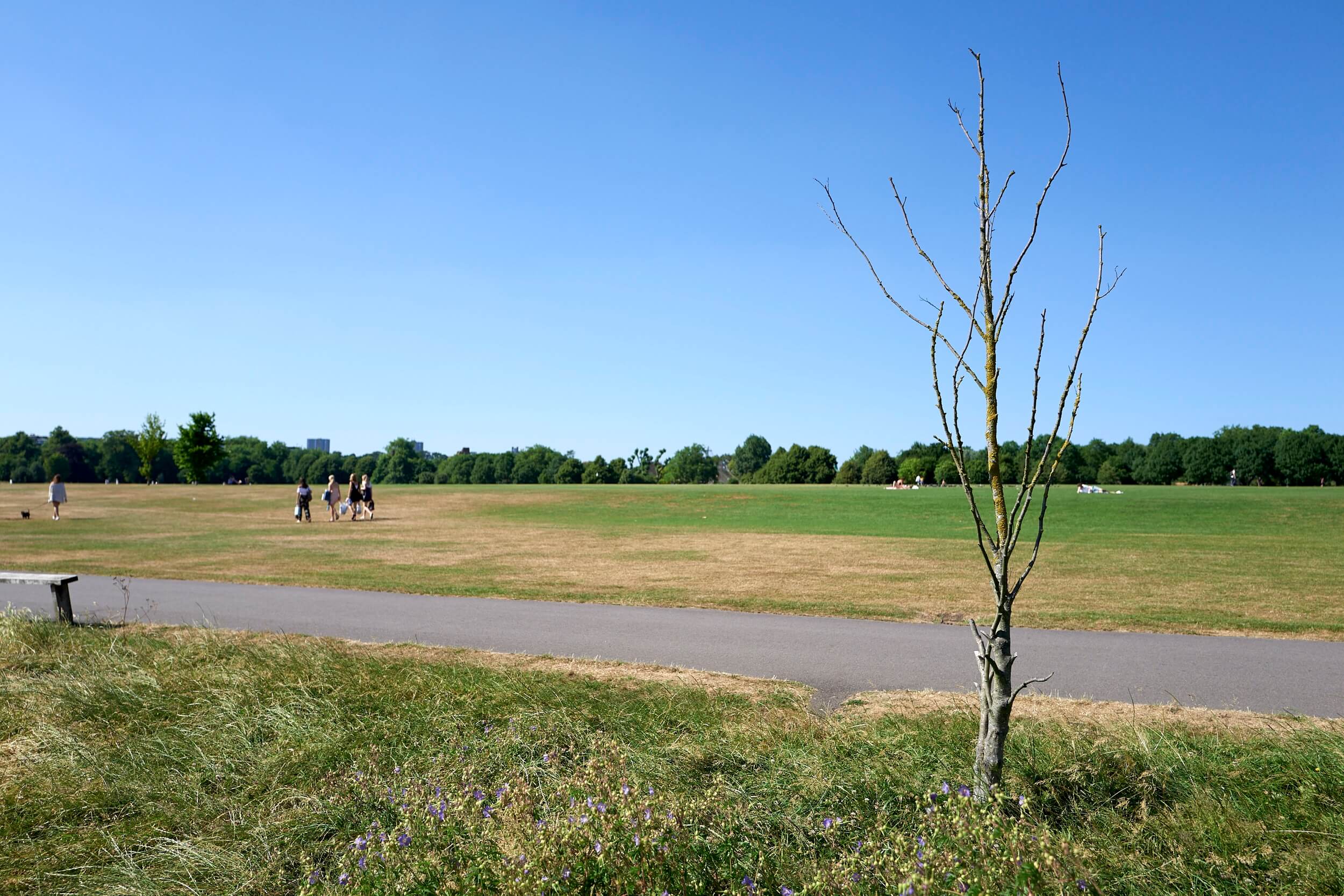 Regent's Park, London, NW1