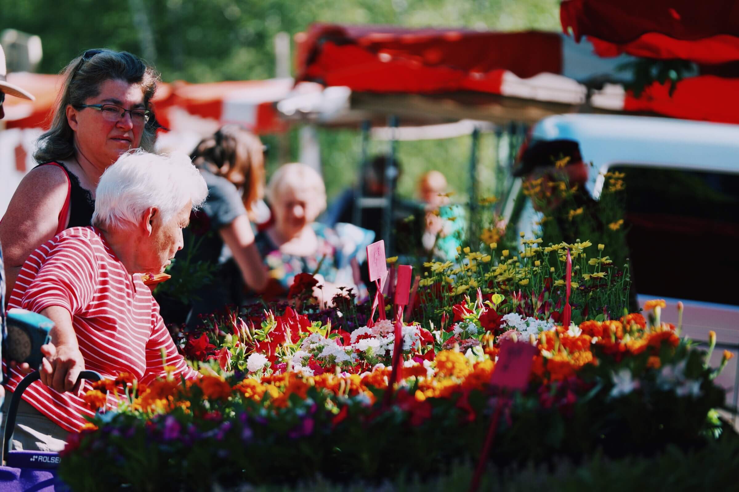 Chamonix Market