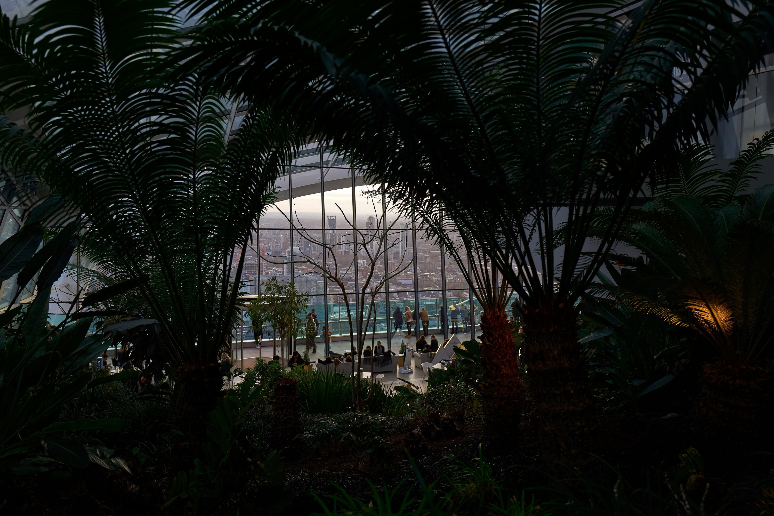 London through the palms