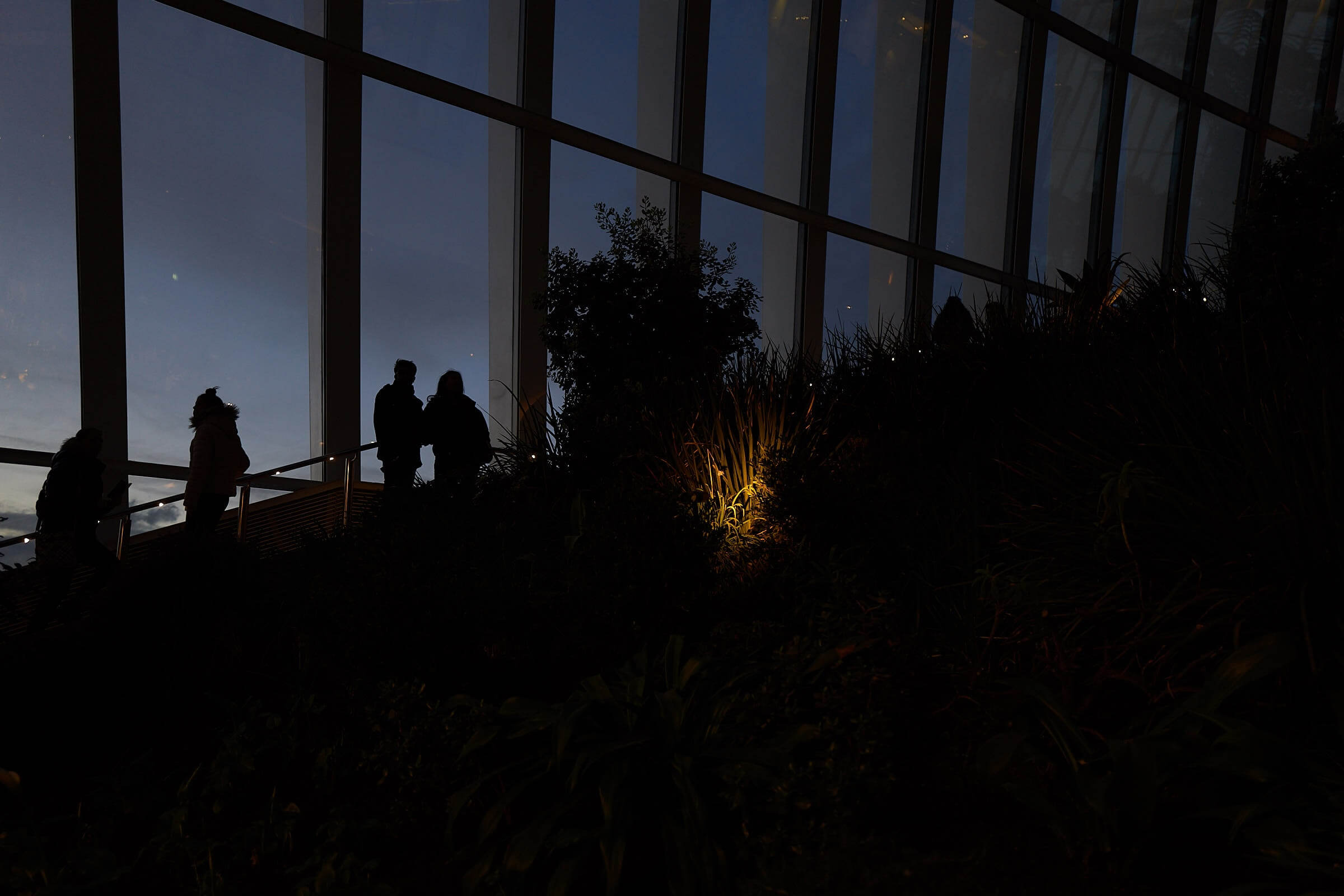 The Sky Garden