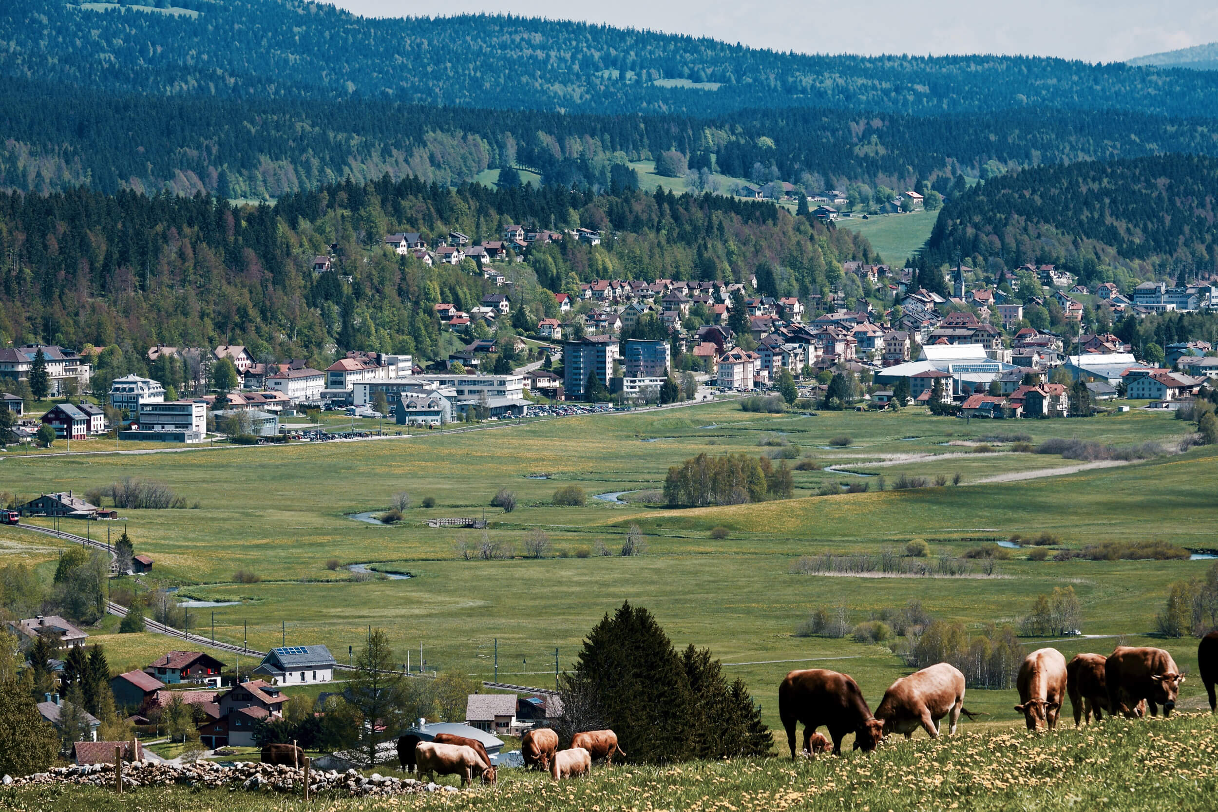 Vallee de Joux