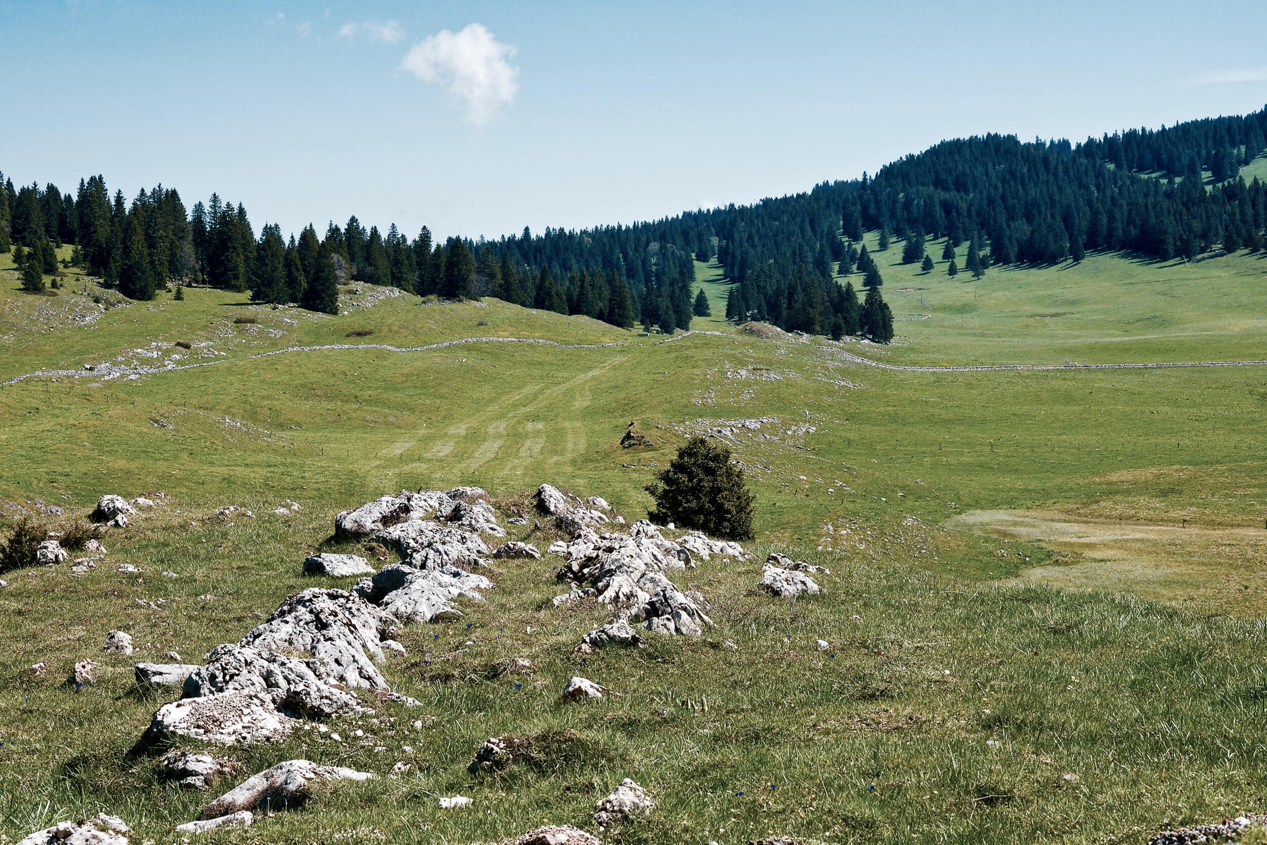 Vallee de Joux