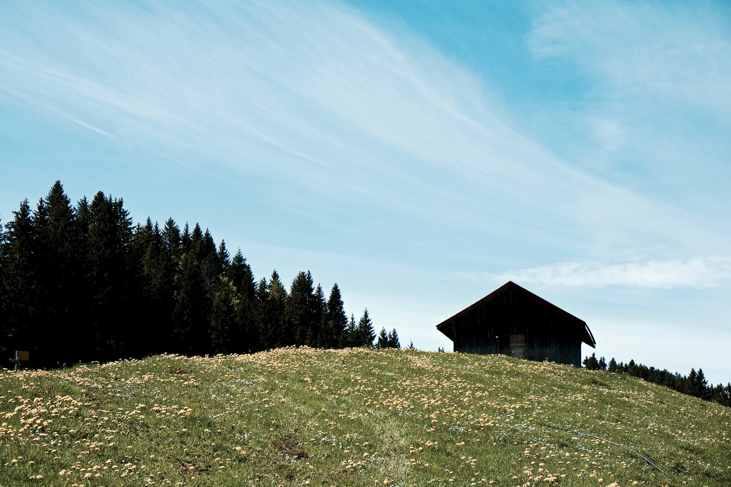 Vallee de Joux