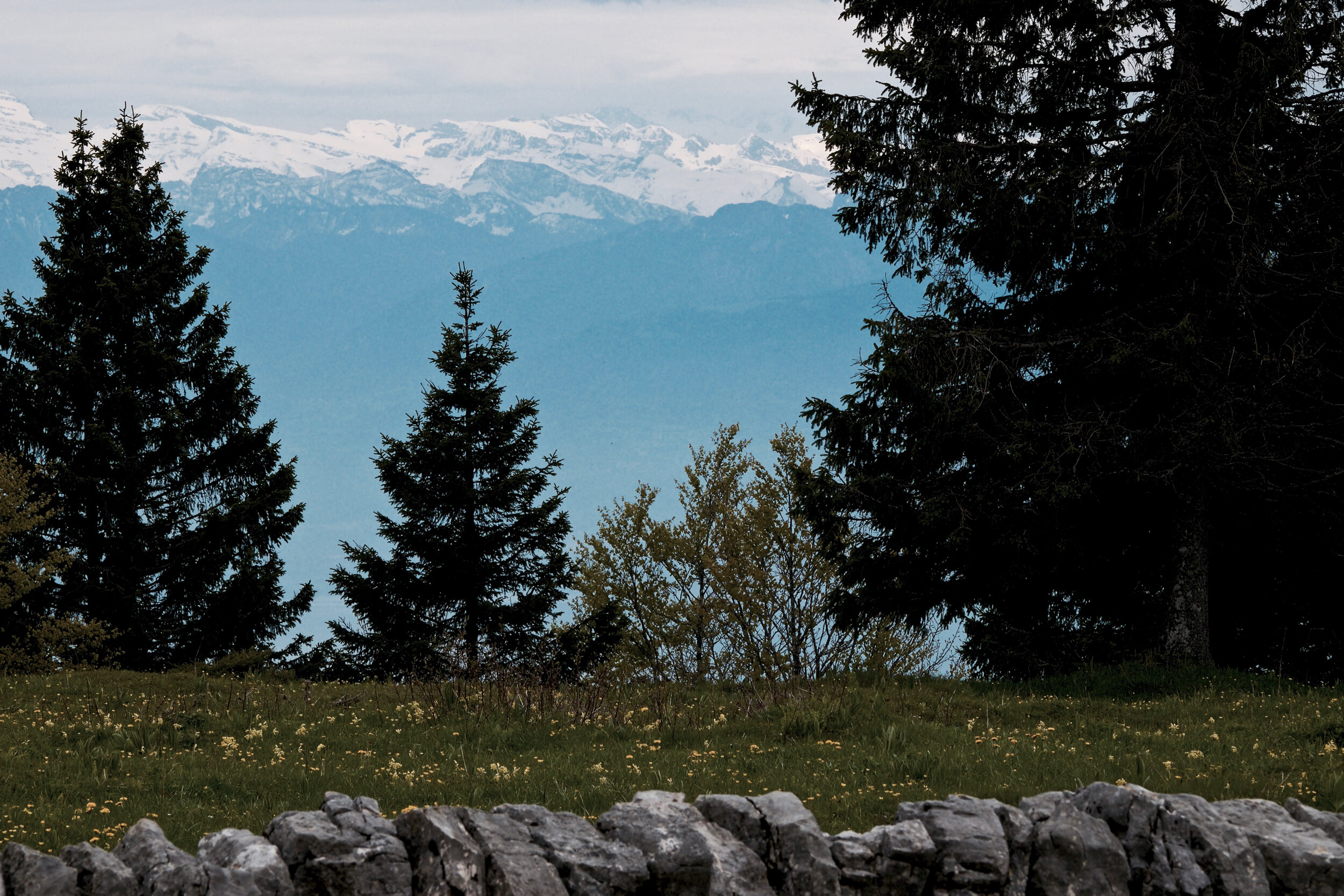 Vallee de Joux