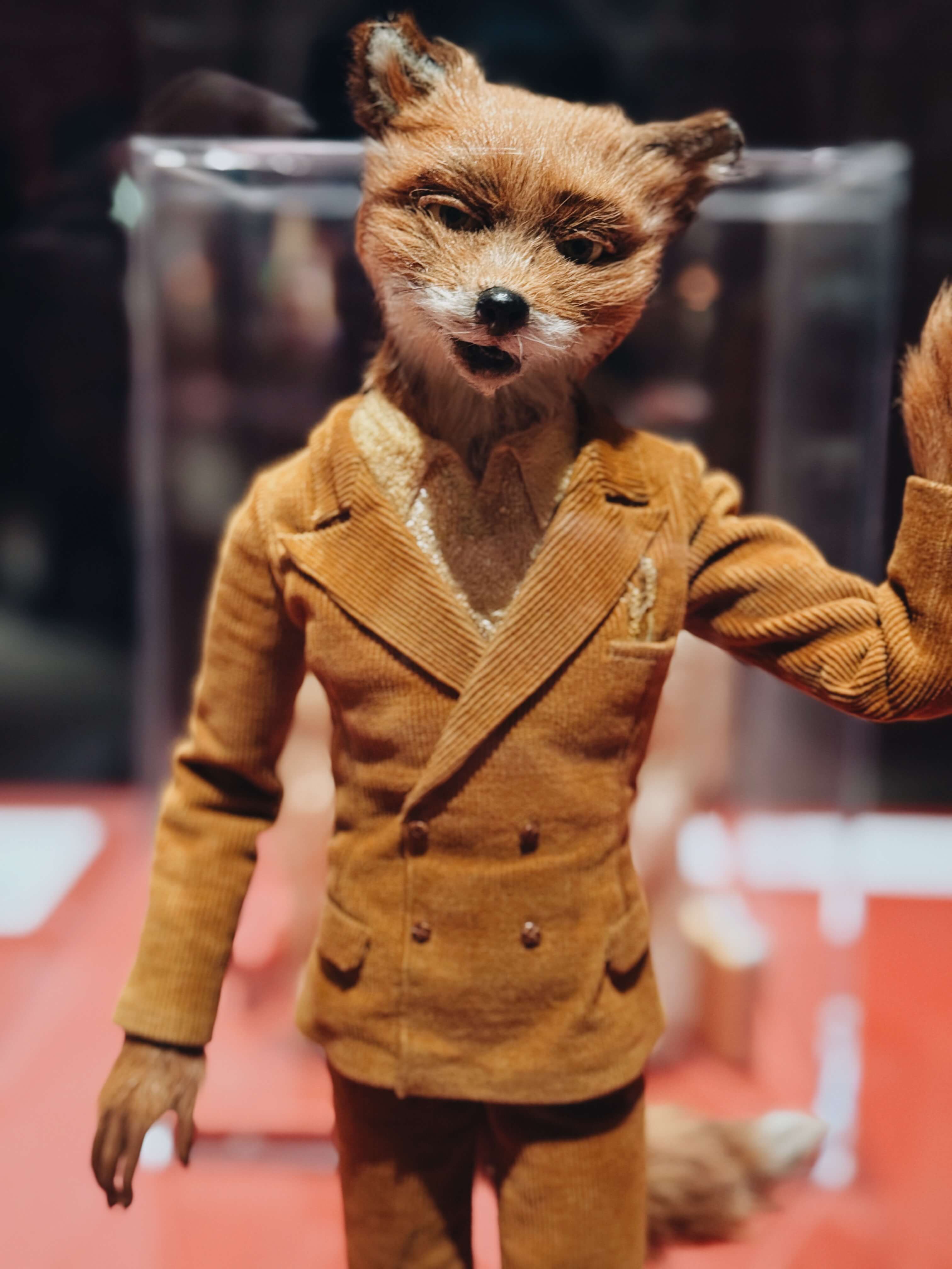 The Fantastic Mr Fox himself